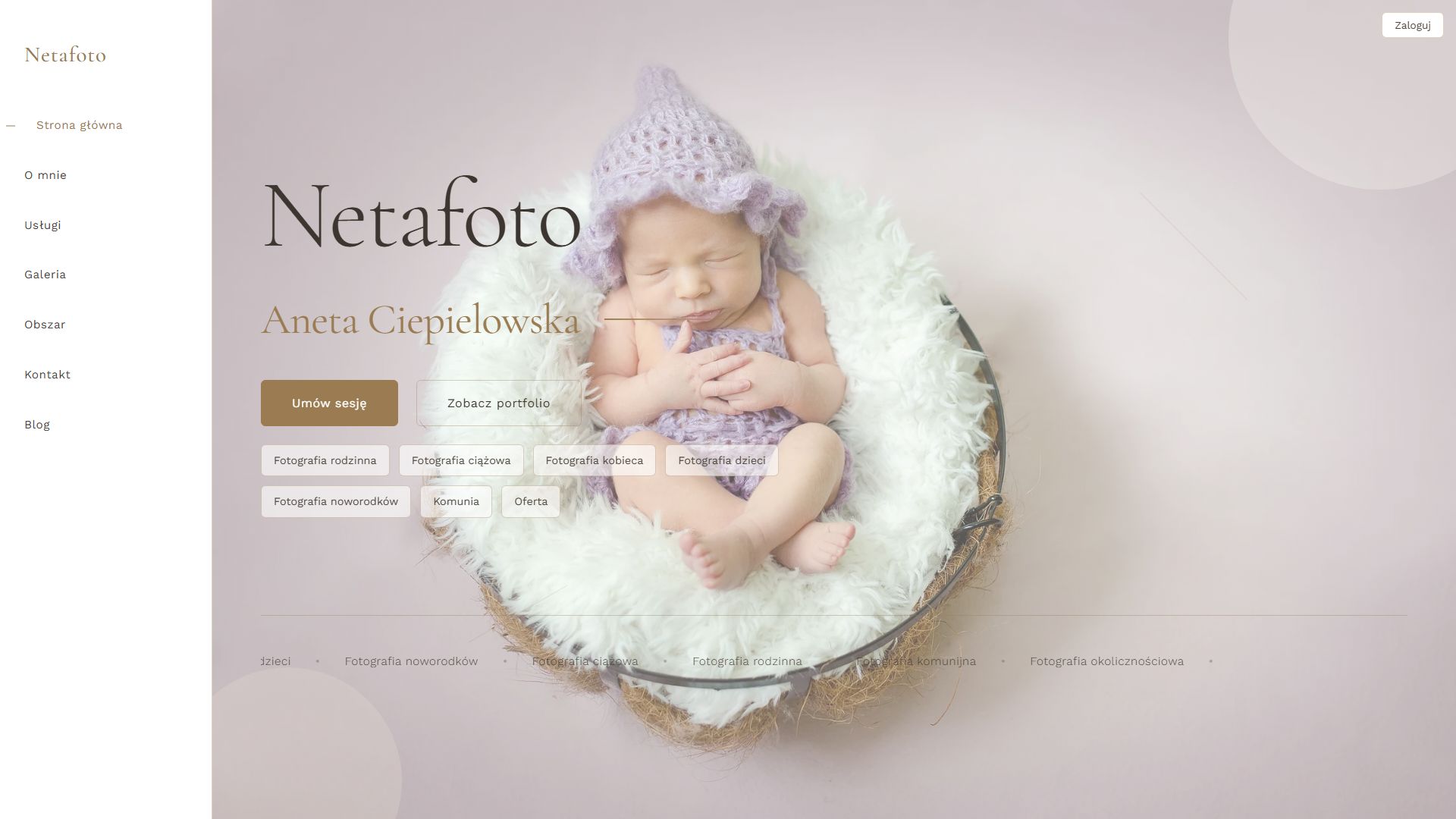 Portfolio item