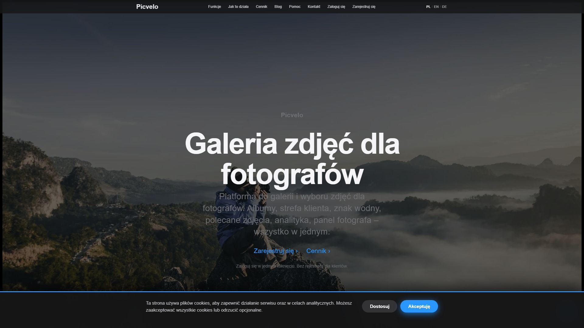 Portfolio item