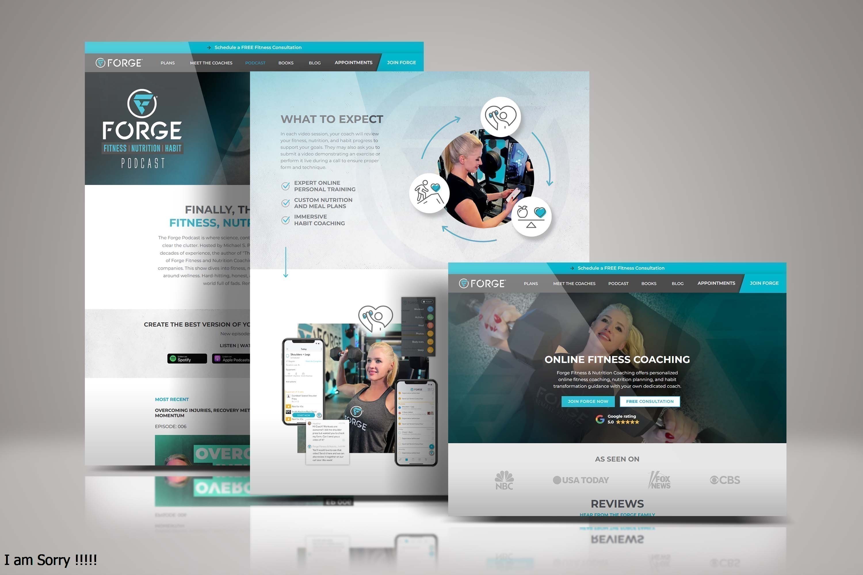 Portfolio item