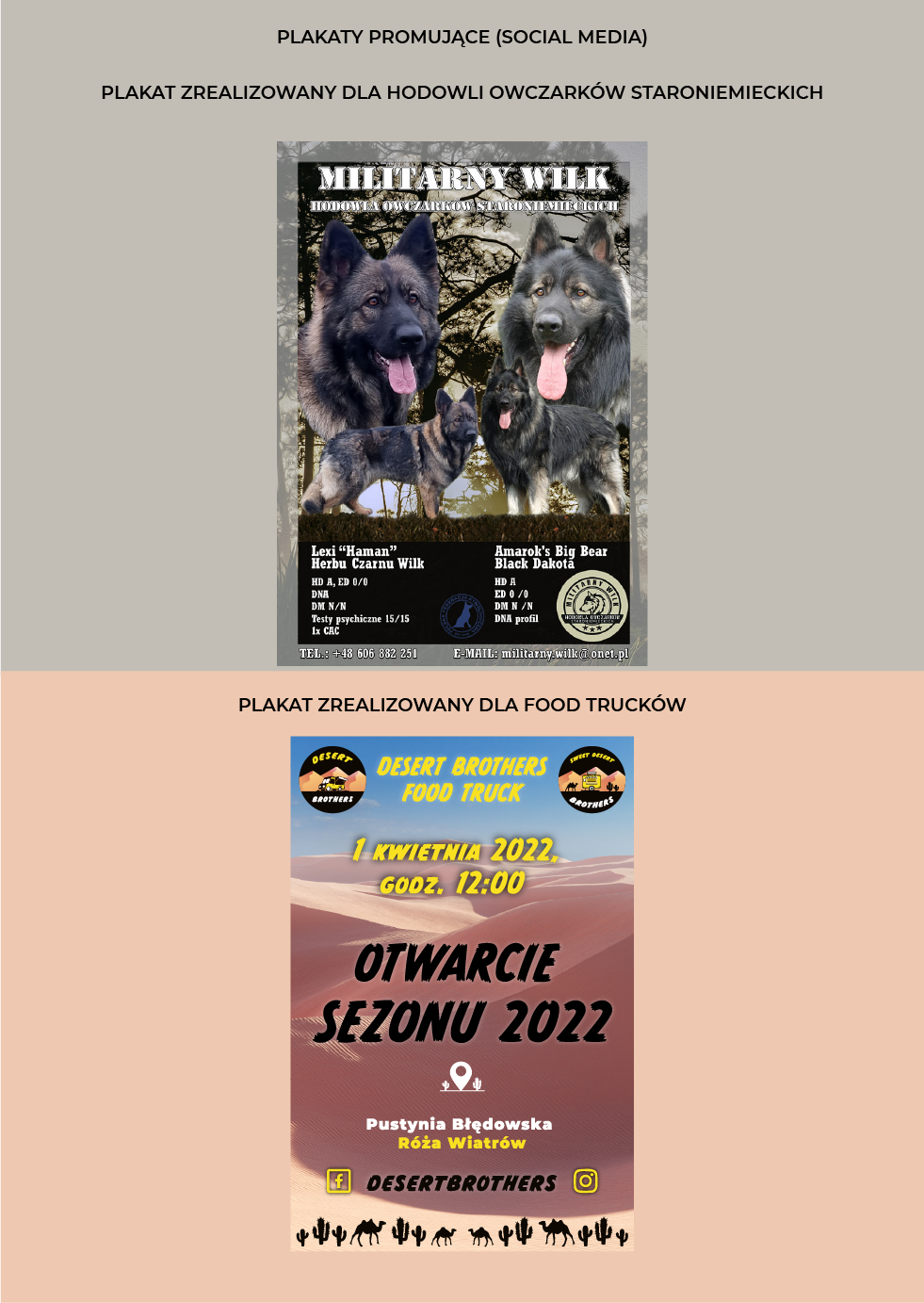 Portfolio item