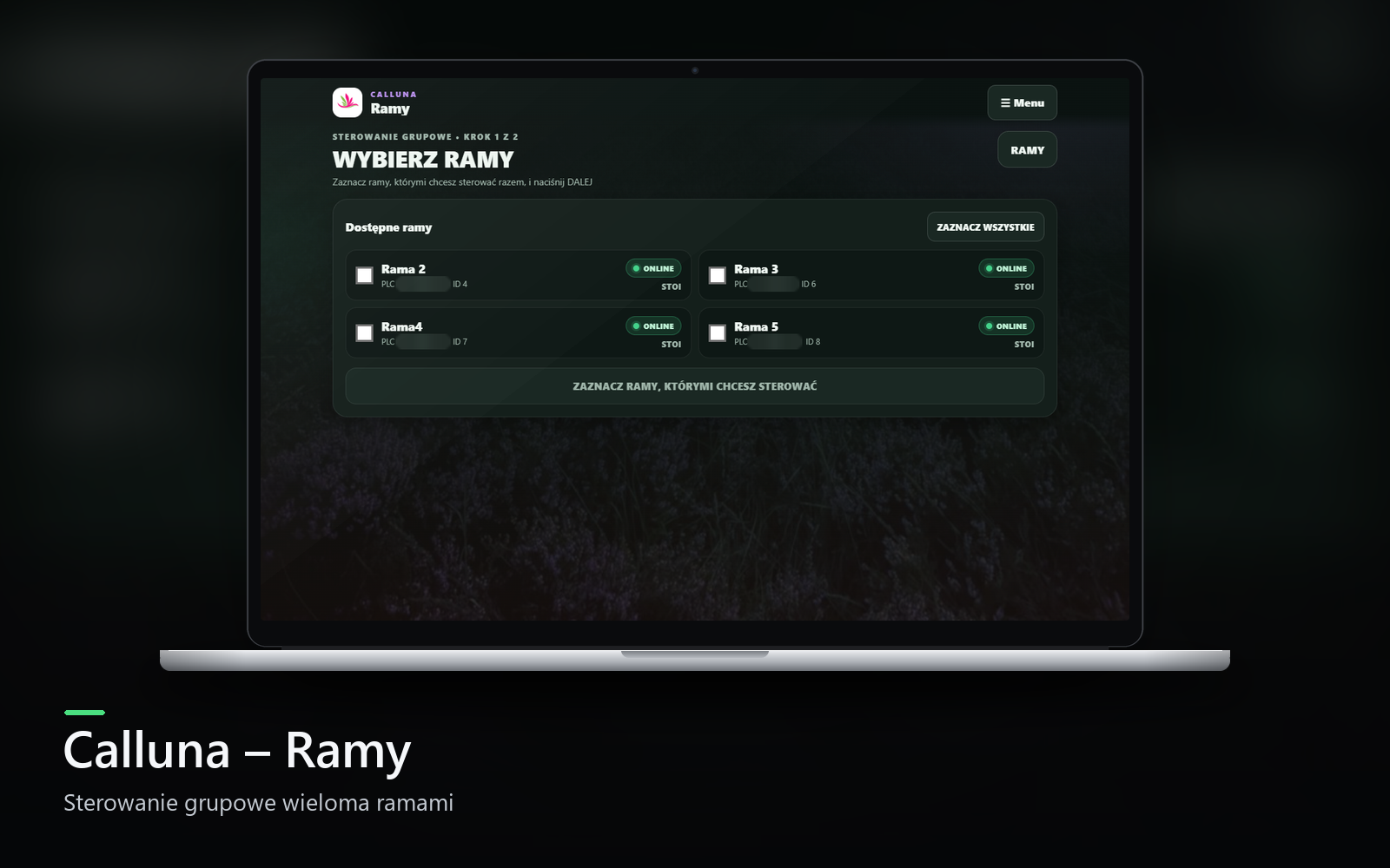 Portfolio item