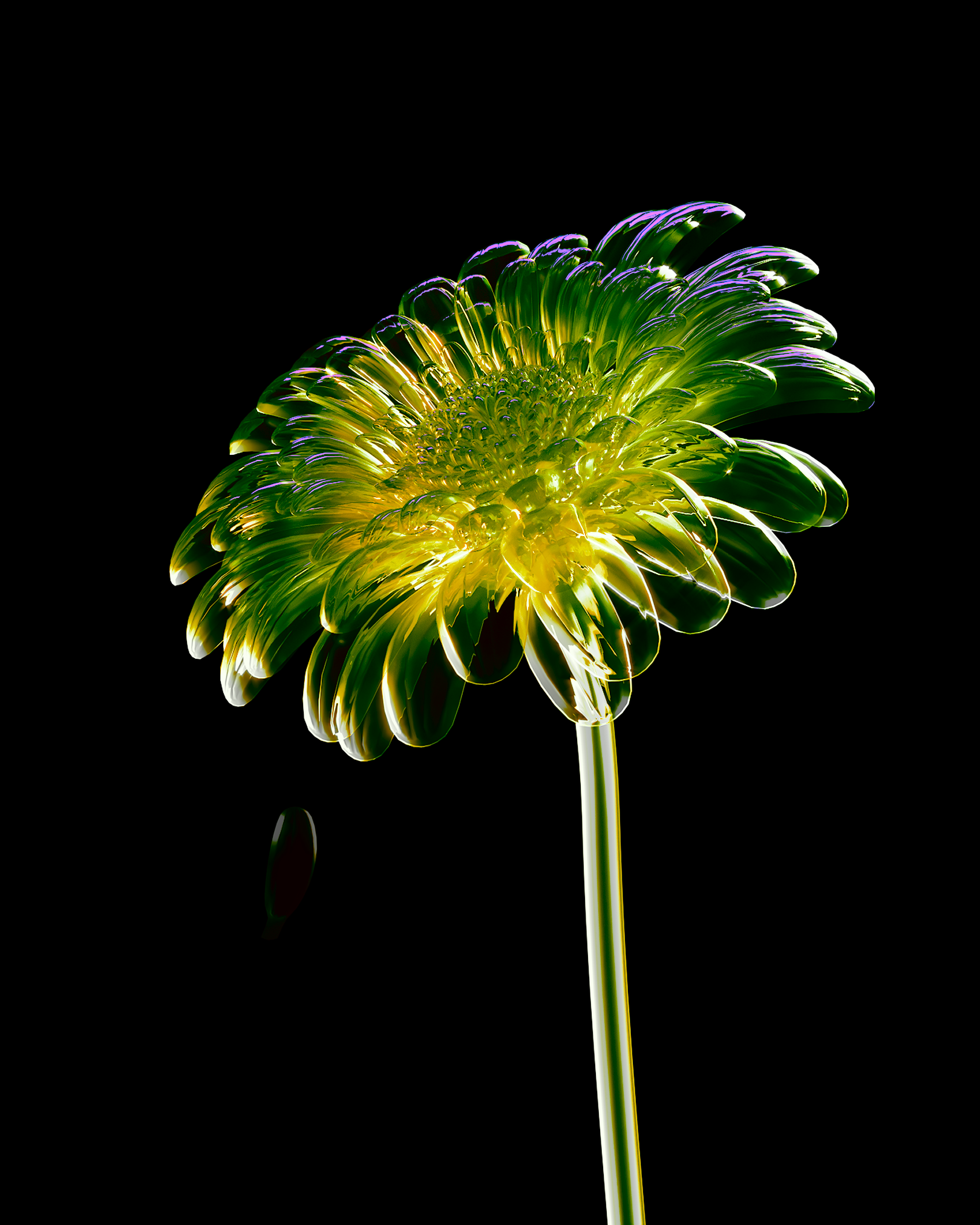 Portfolio item