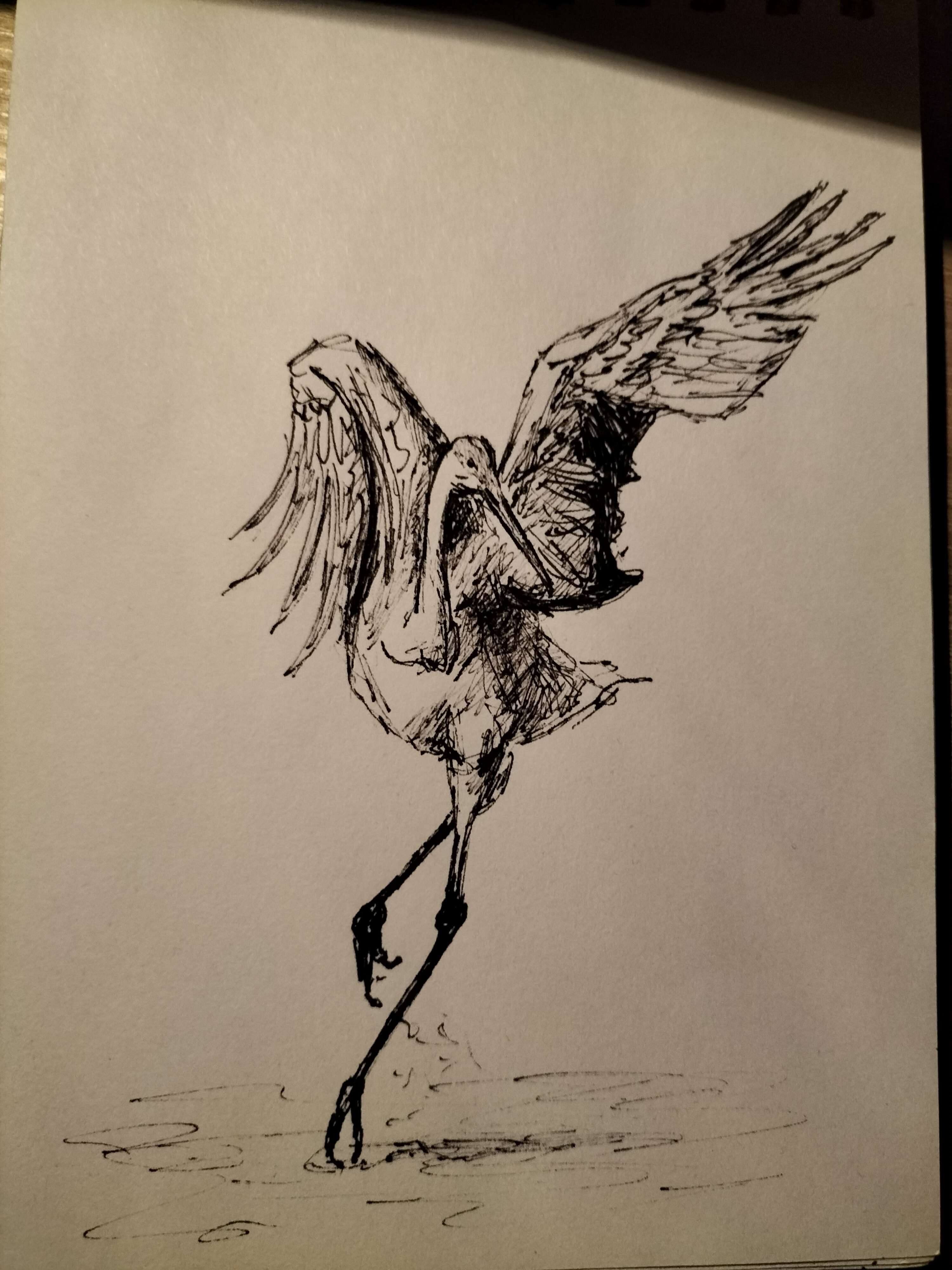Portfolio item