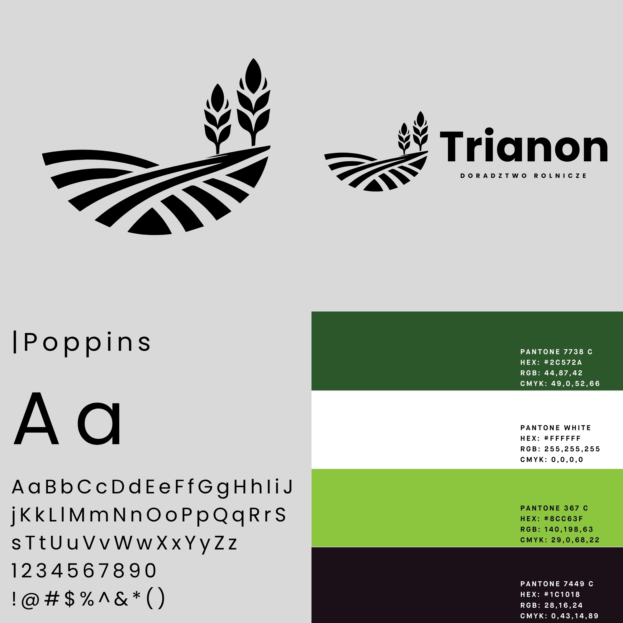 Portfolio item