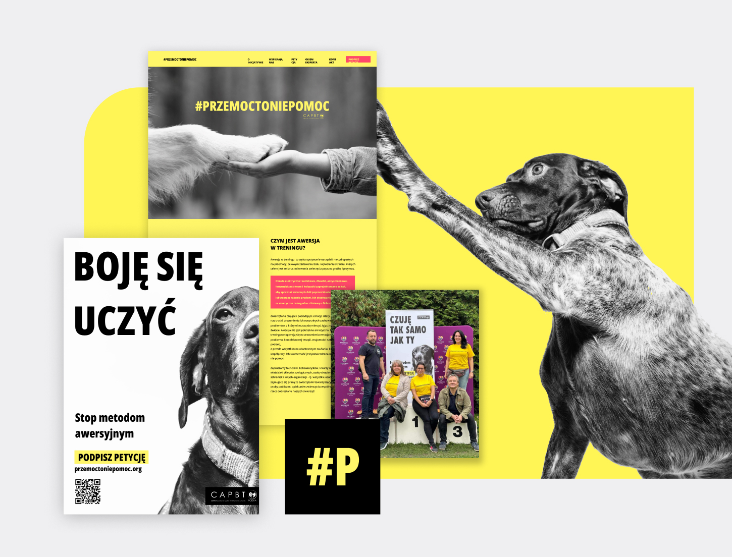 Portfolio item
