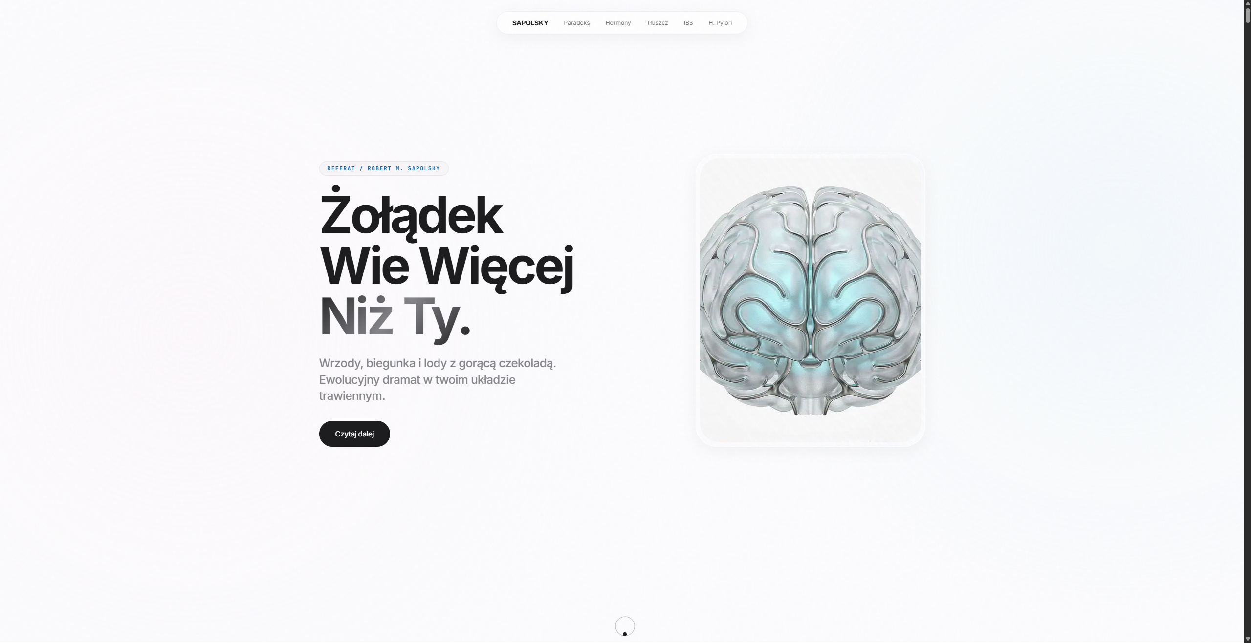 Portfolio item