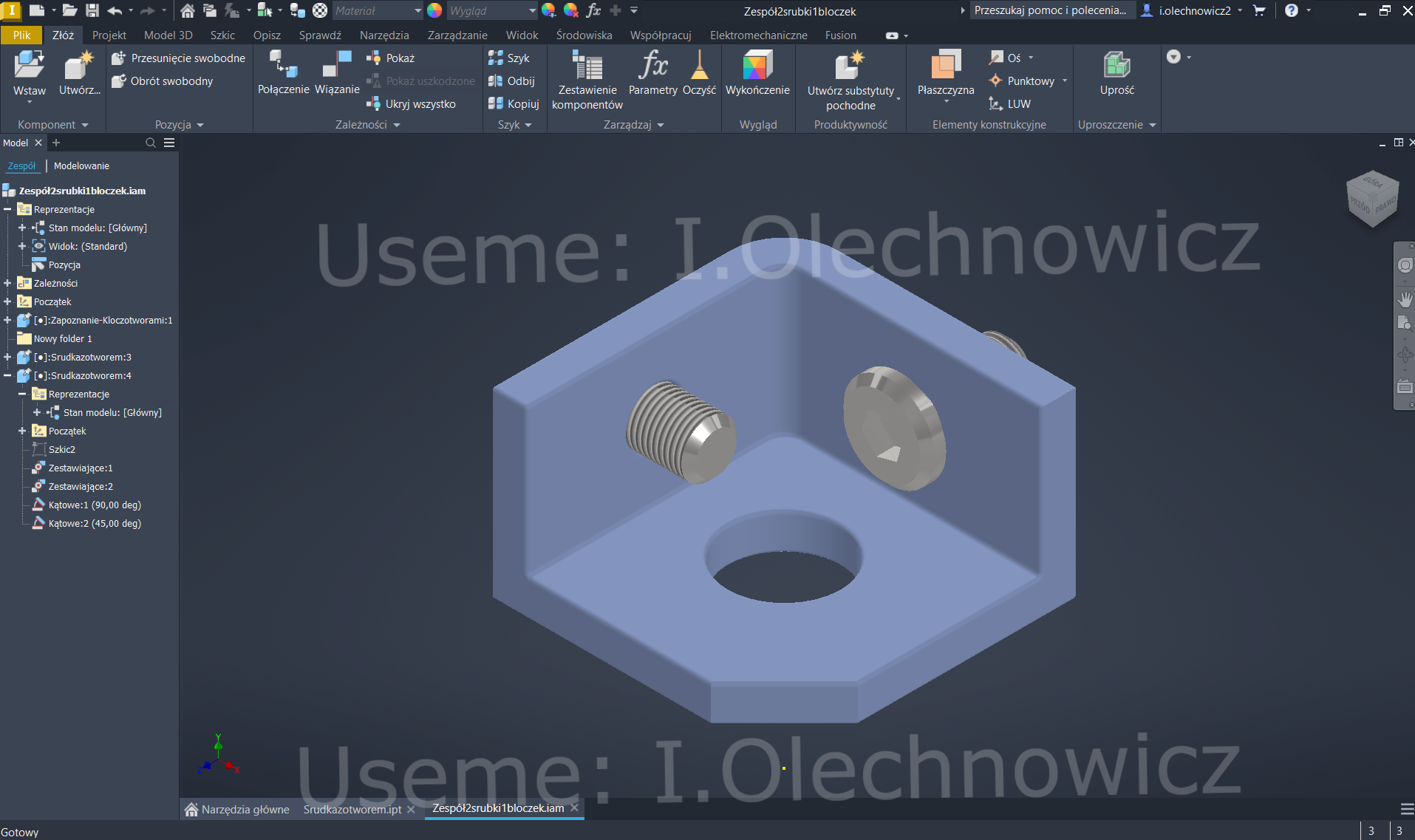 Portfolio item
