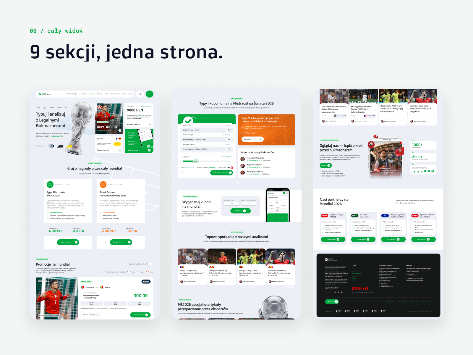 Portfolio item