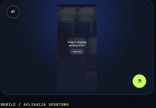 Portfolio item