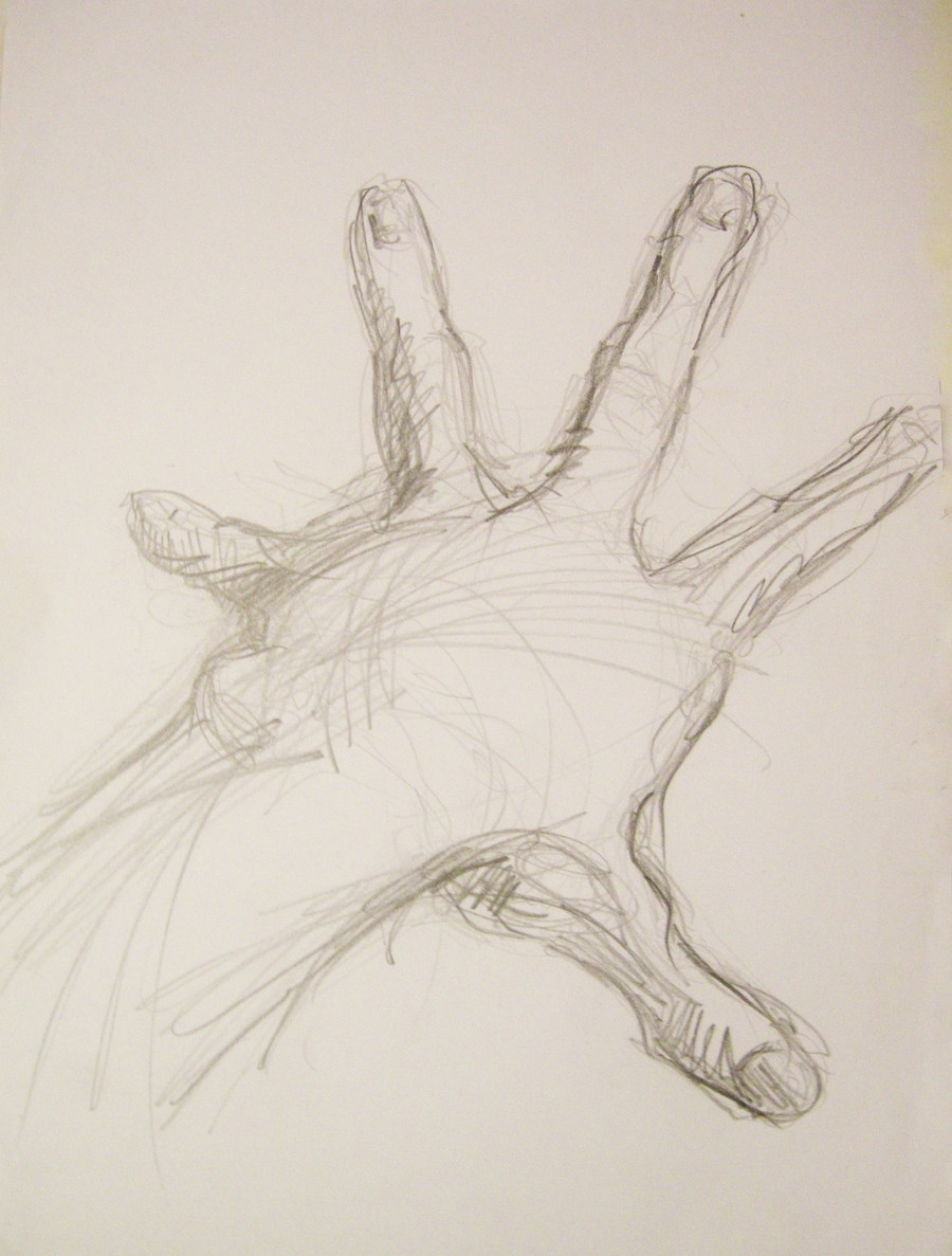 Portfolio item