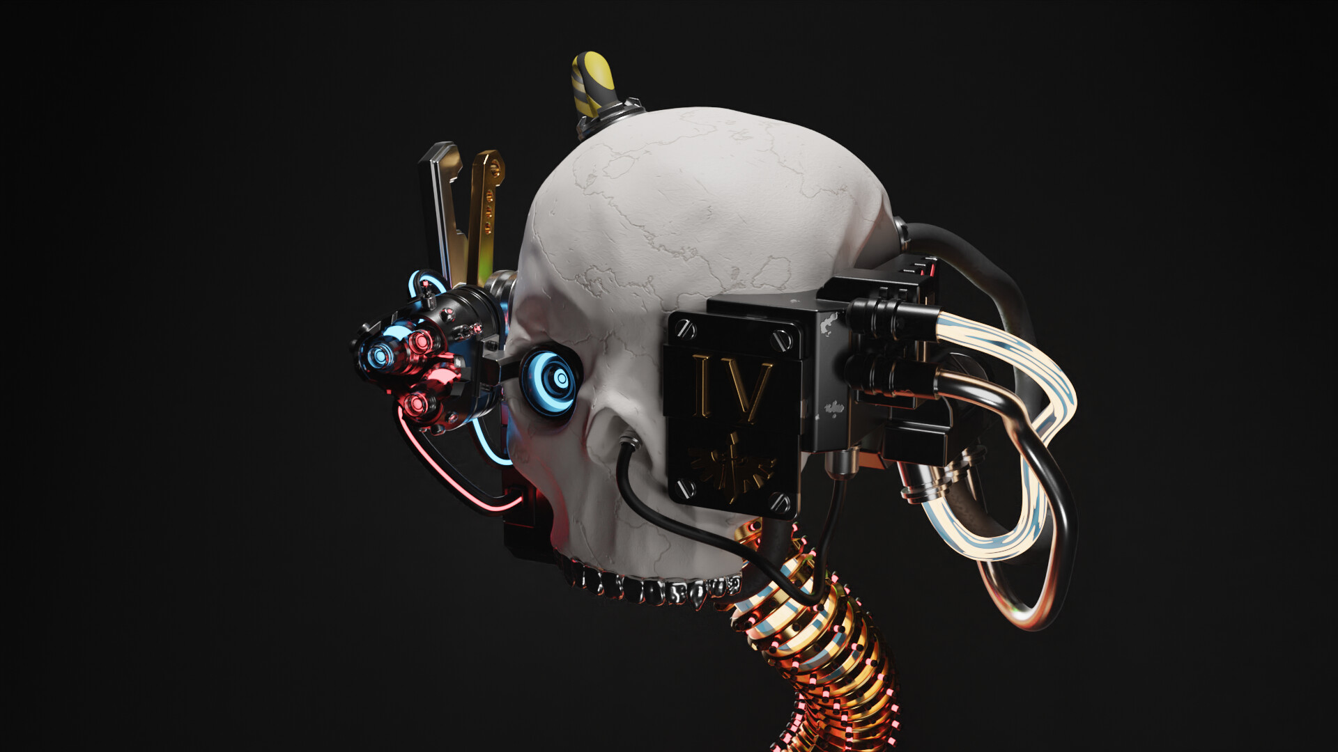 Portfolio item