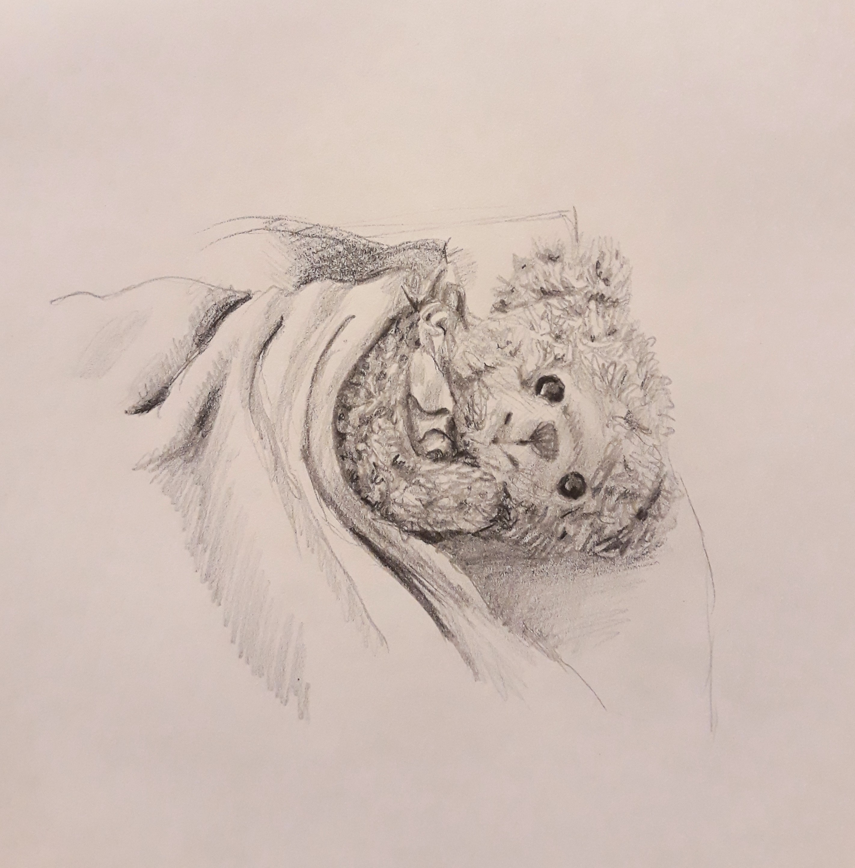 Portfolio item