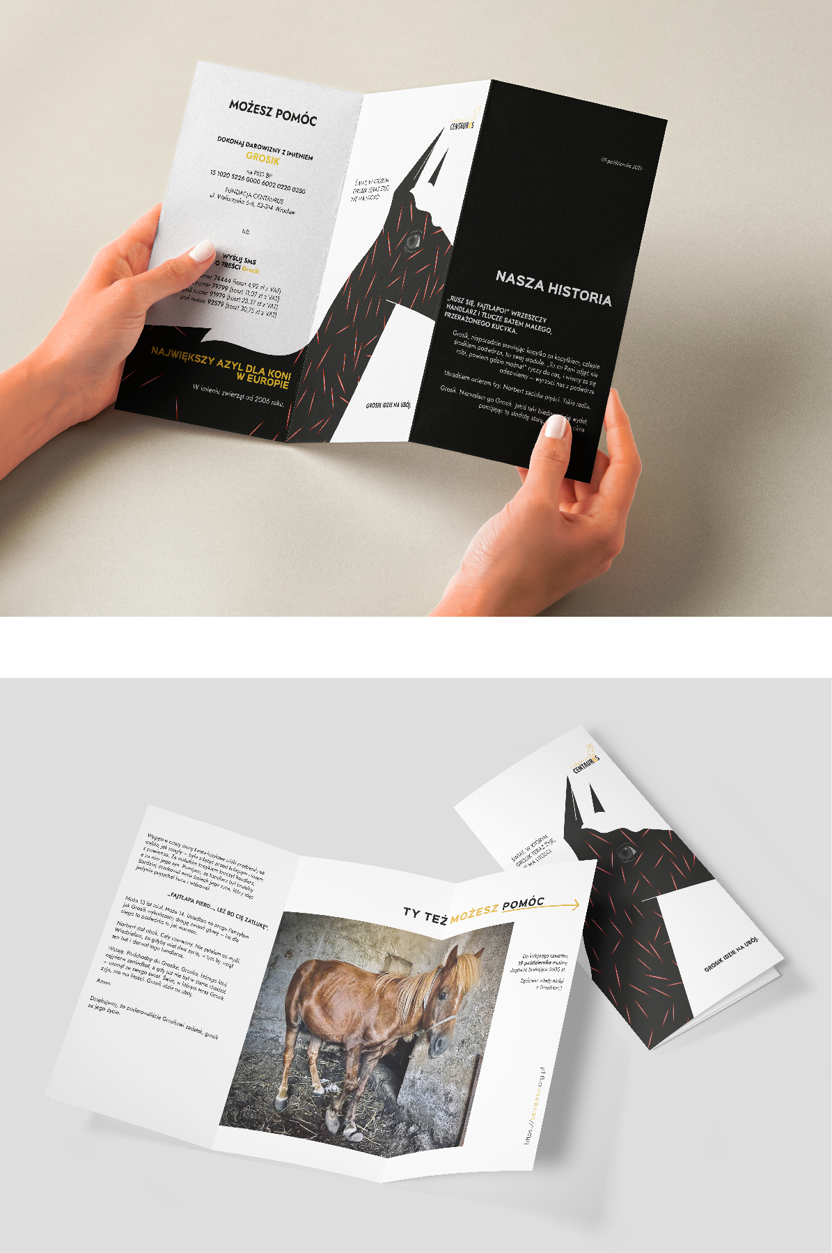 Portfolio item