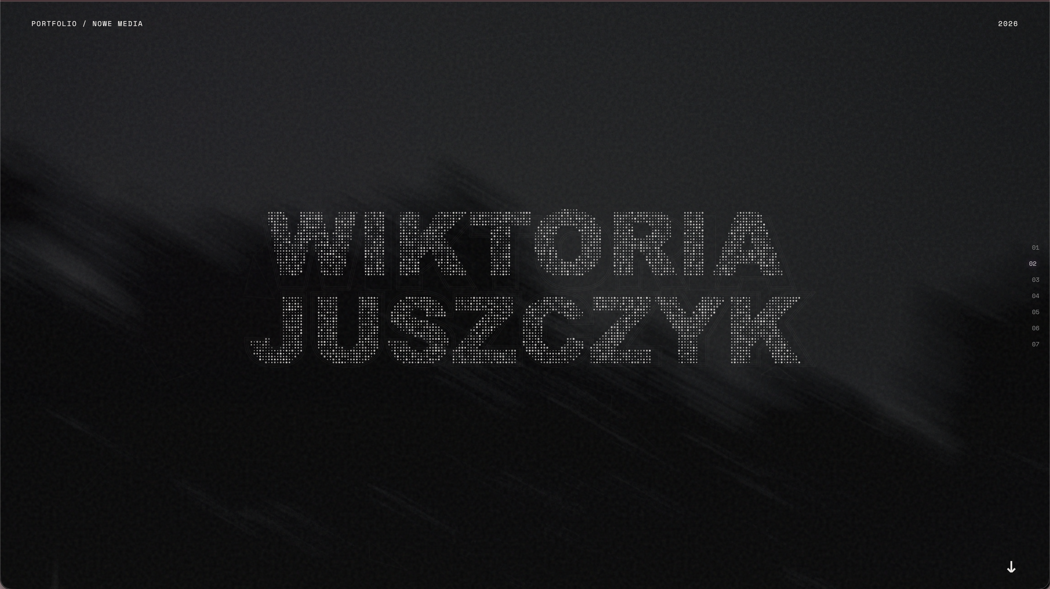 Portfolio item