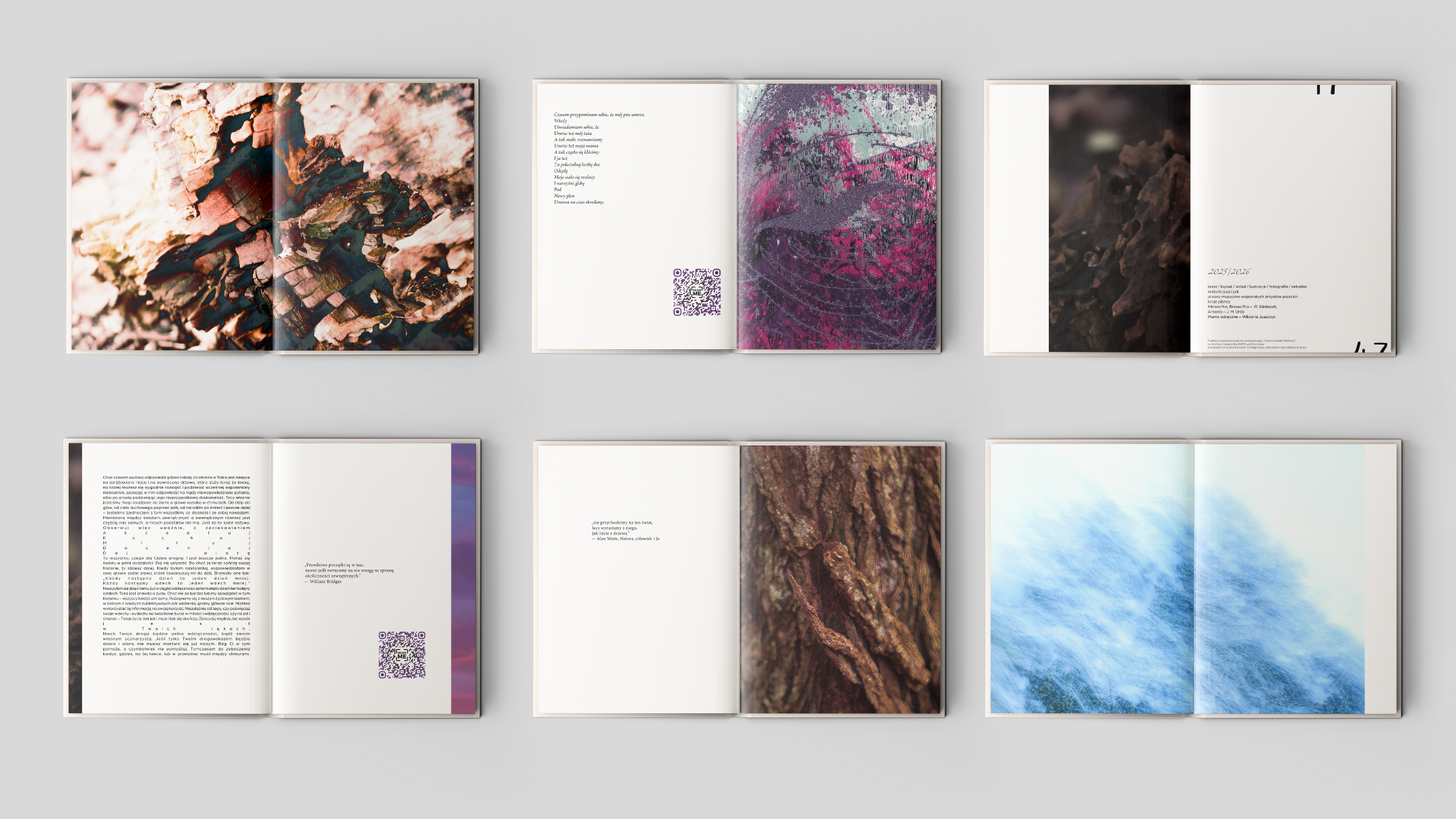 Portfolio item