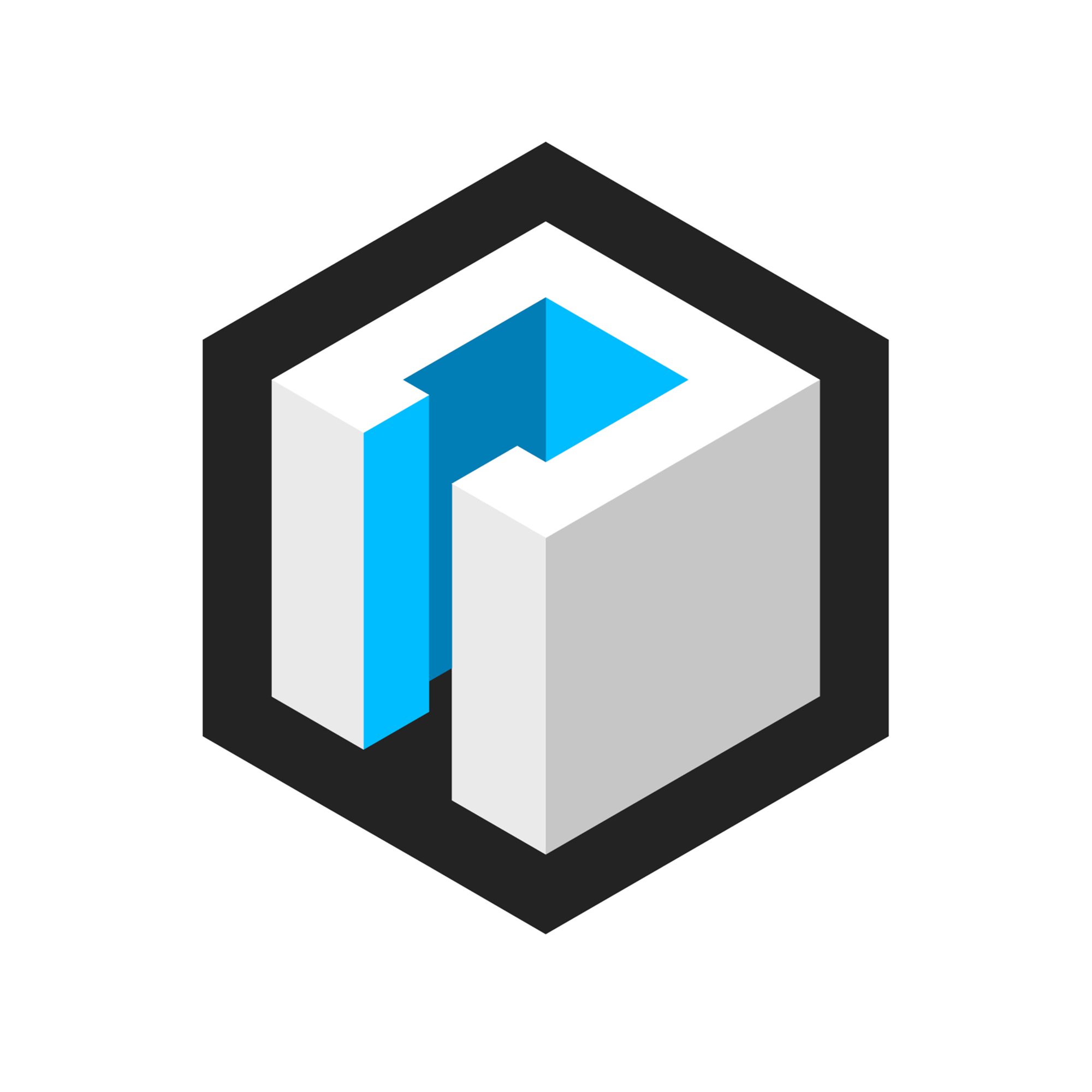 Portfolio item