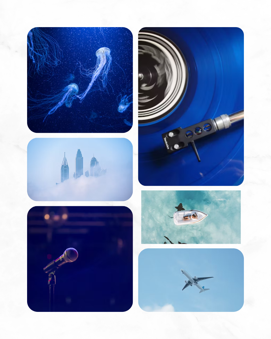 Portfolio item