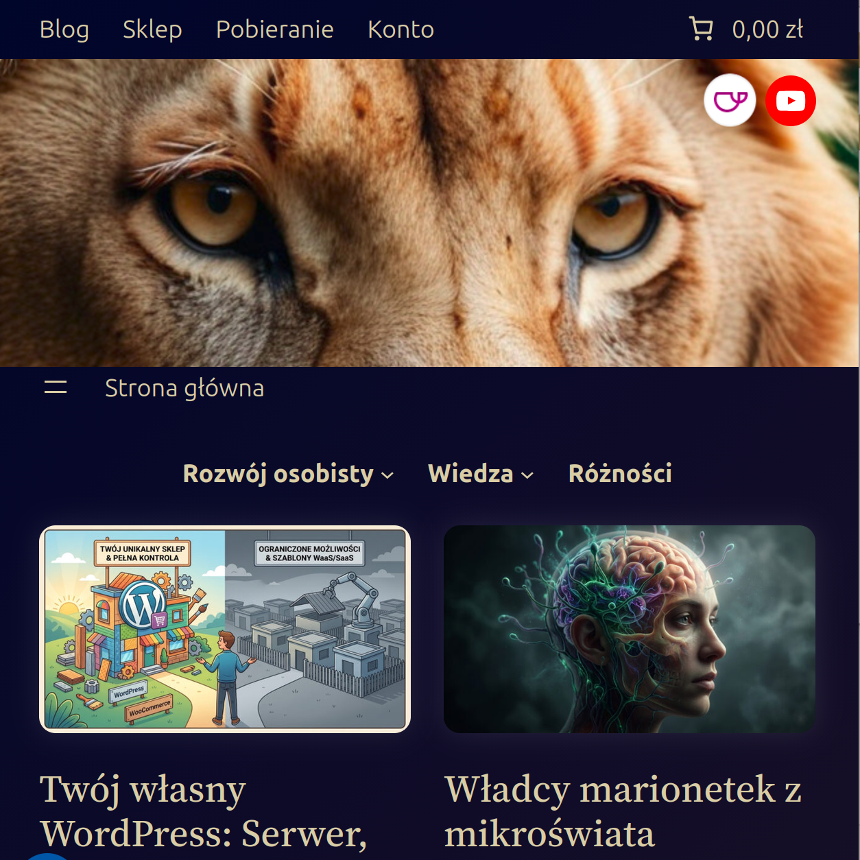 Portfolio item