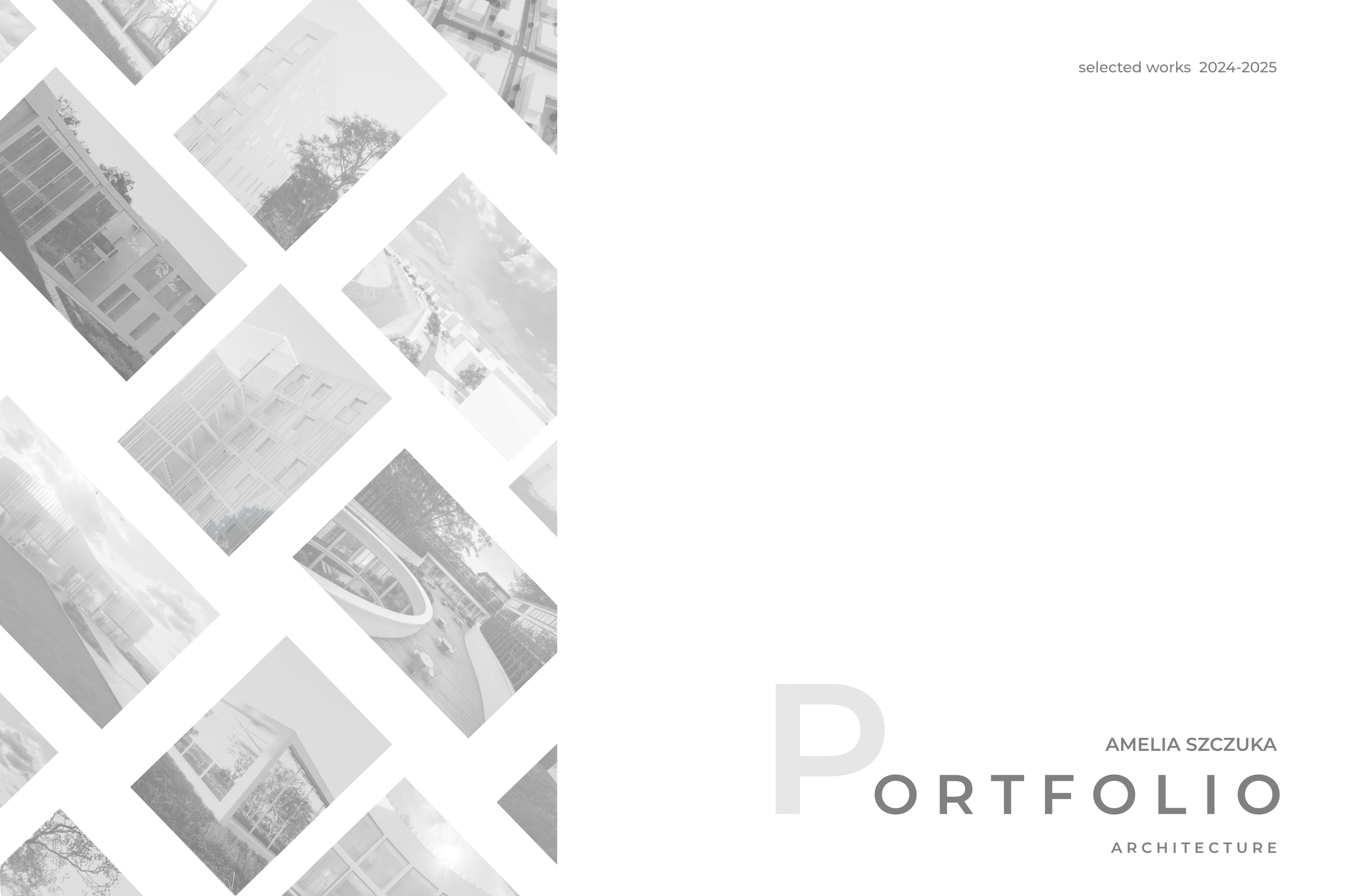 Portfolio item