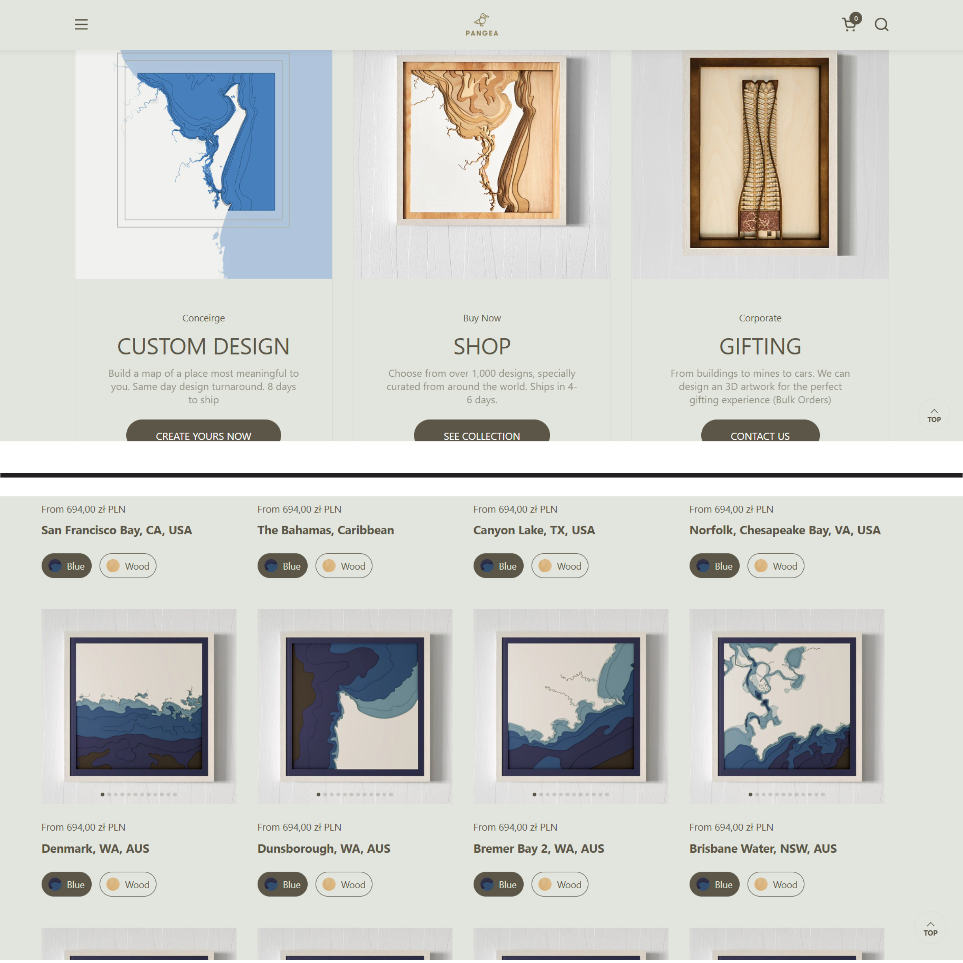 Portfolio item