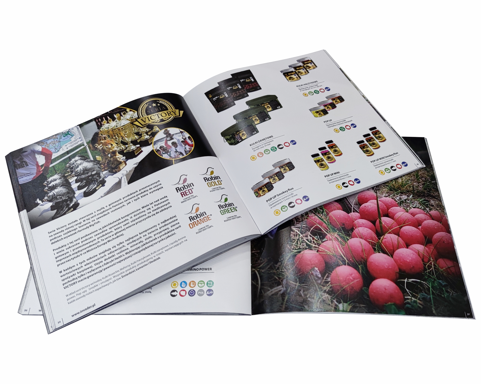 Portfolio item