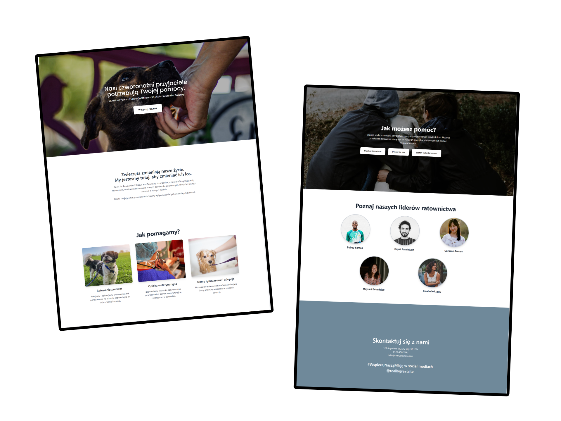 Portfolio item