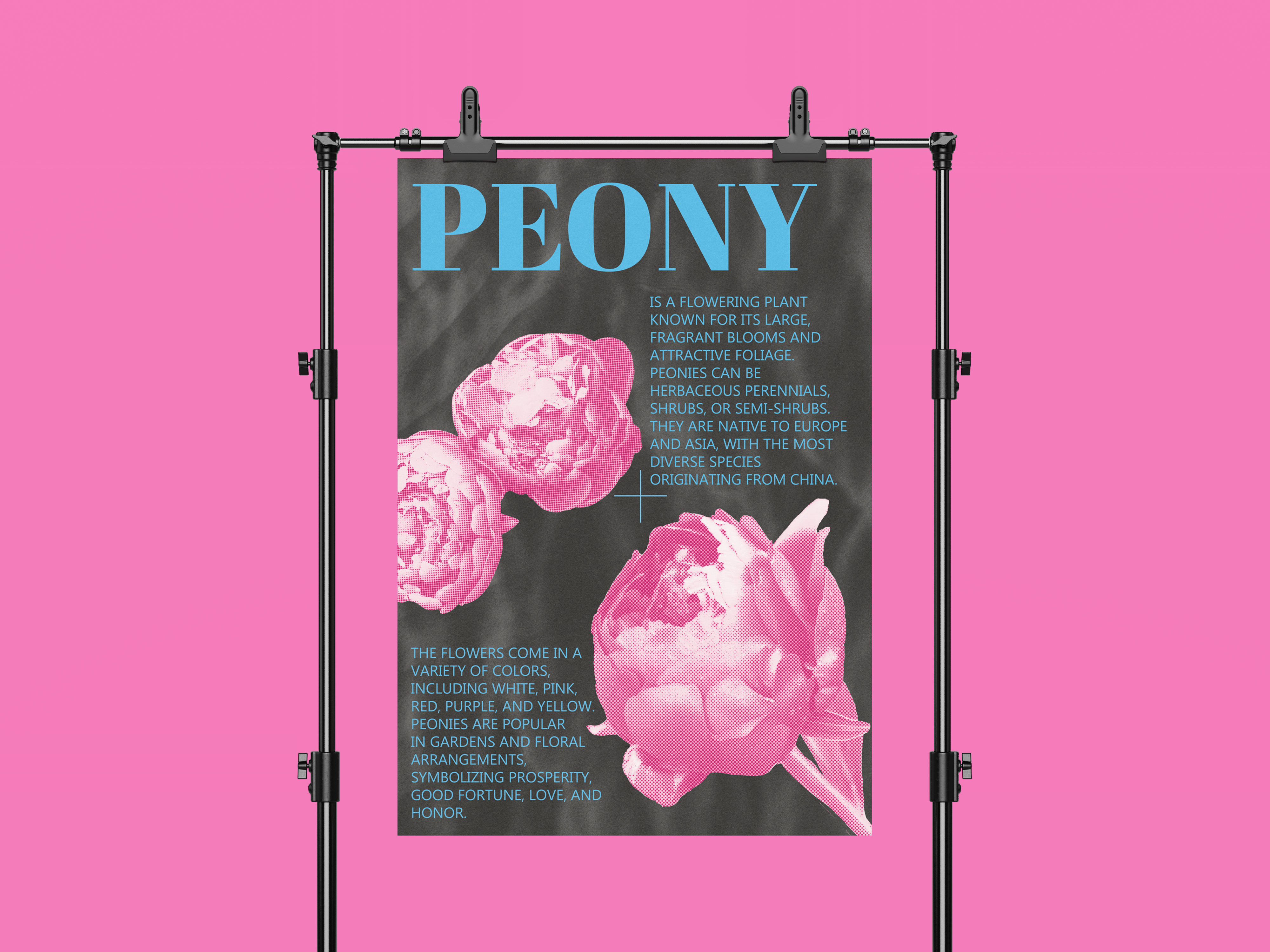 Portfolio item