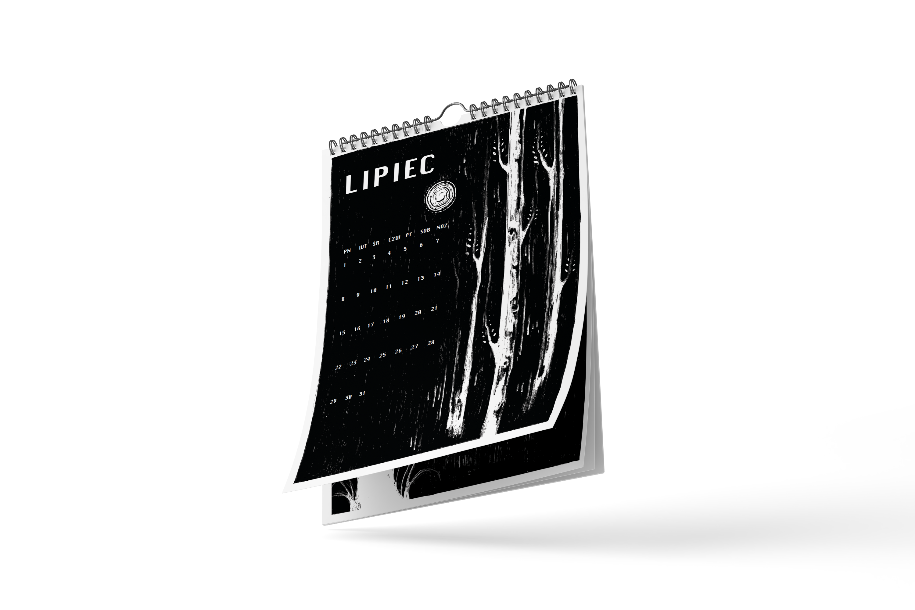 Portfolio item