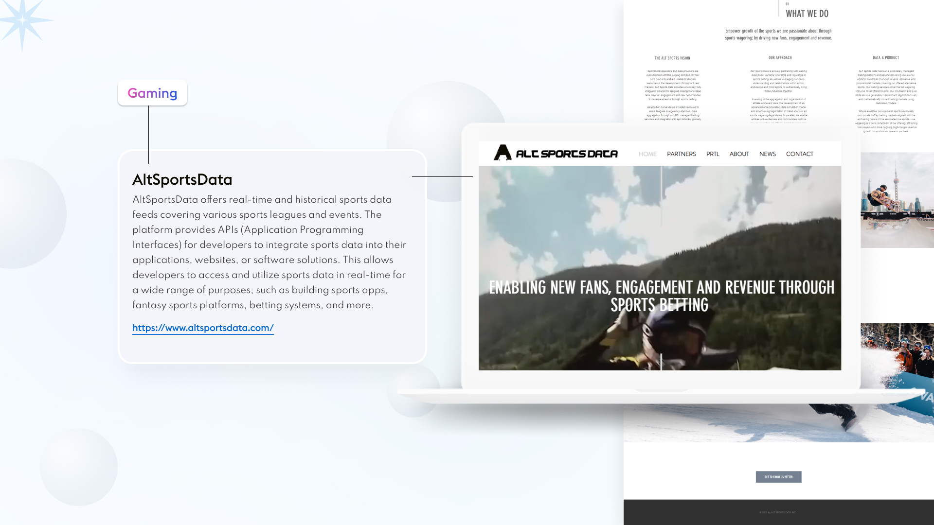 Portfolio item