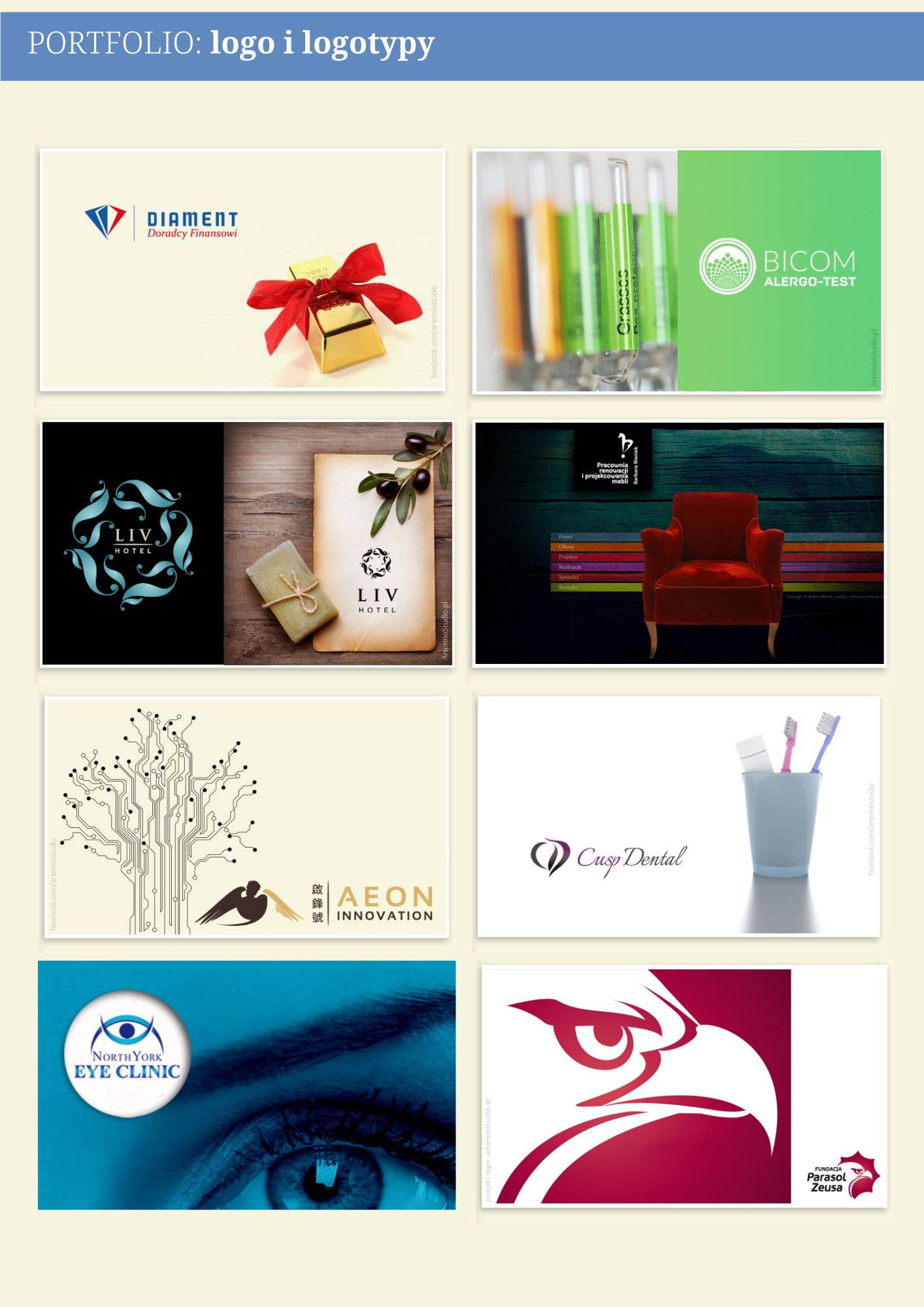 Portfolio item