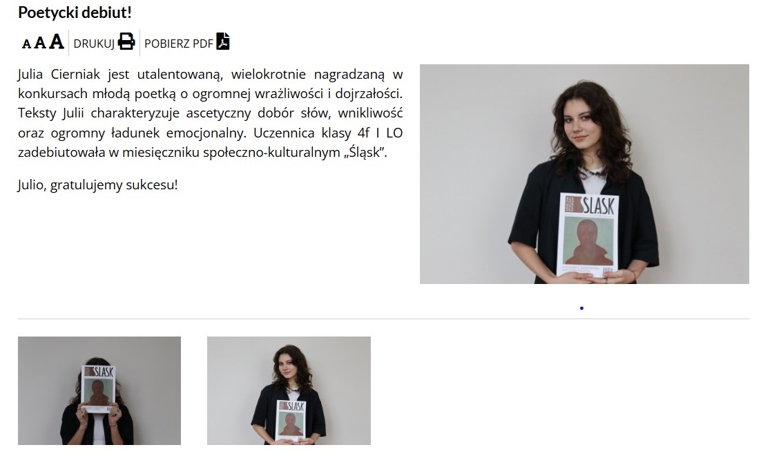 Portfolio item