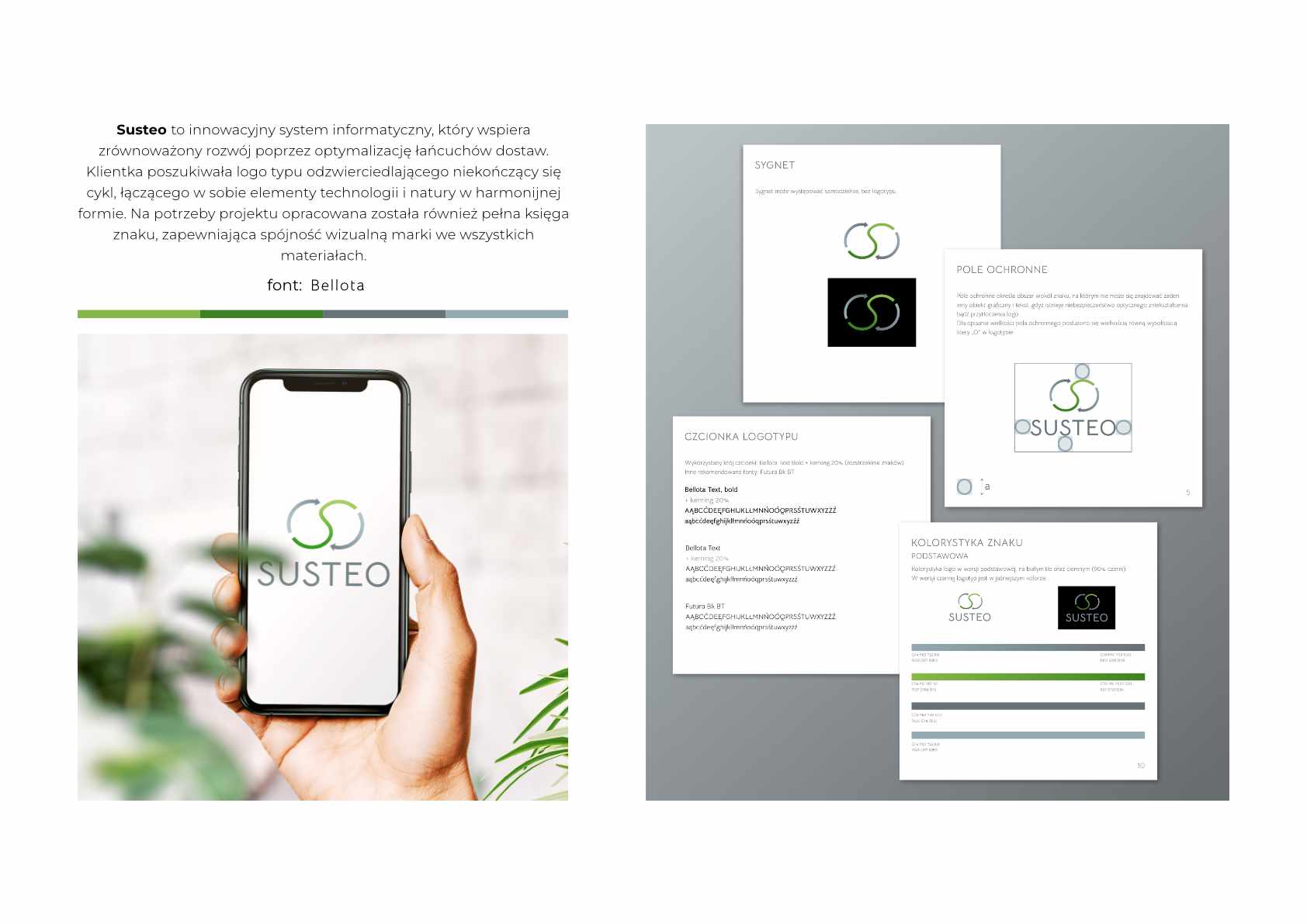 Portfolio item