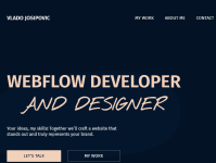 Portfolio item