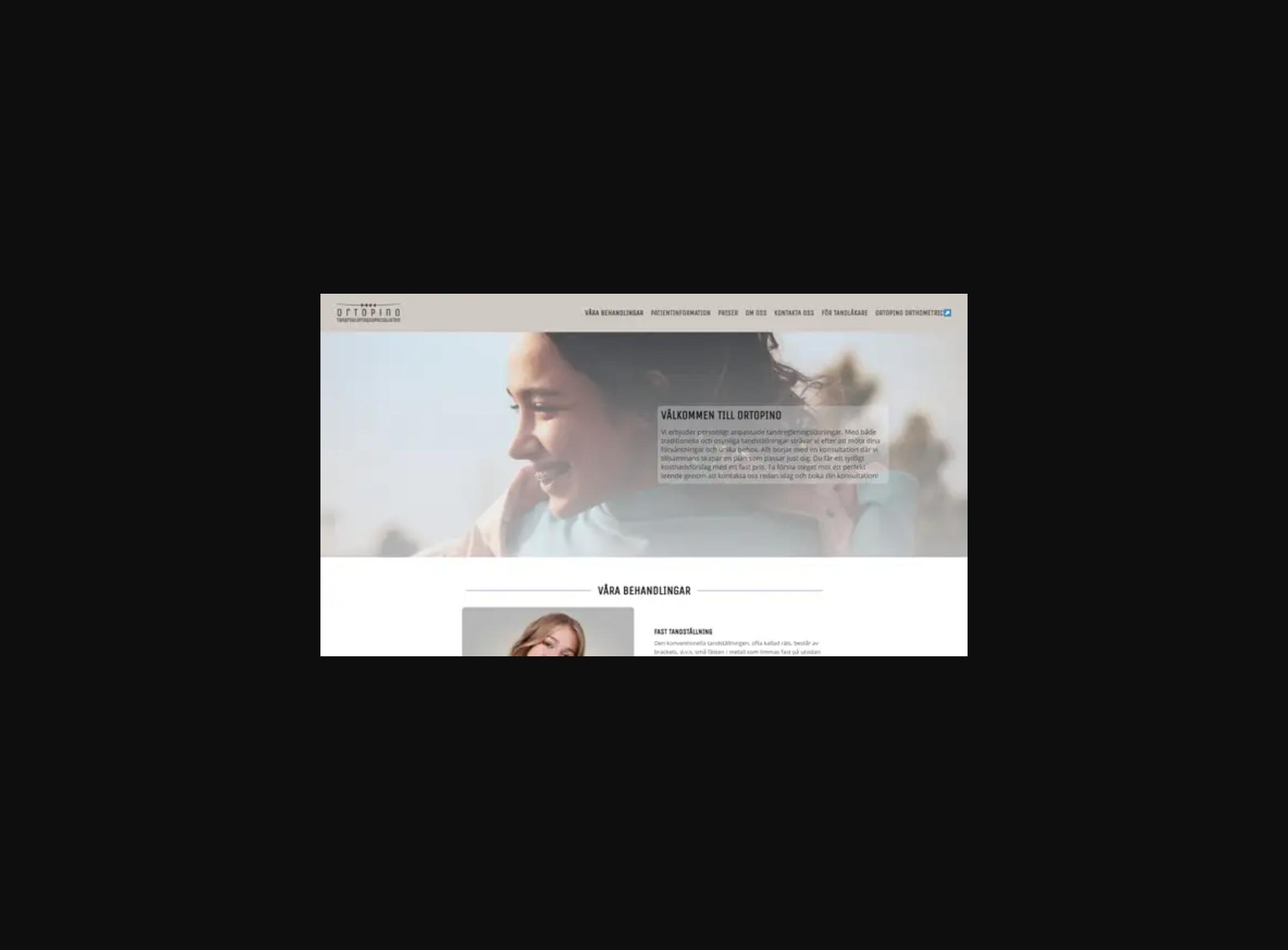 Portfolio item