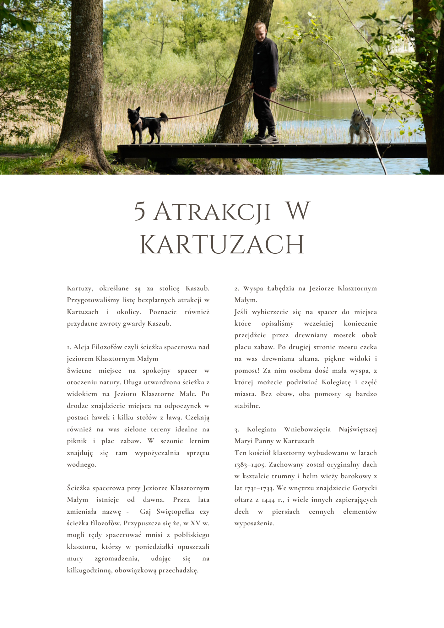 Portfolio item