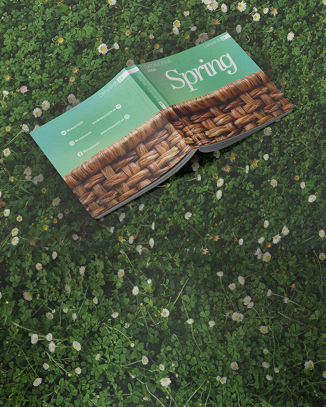 Portfolio item
