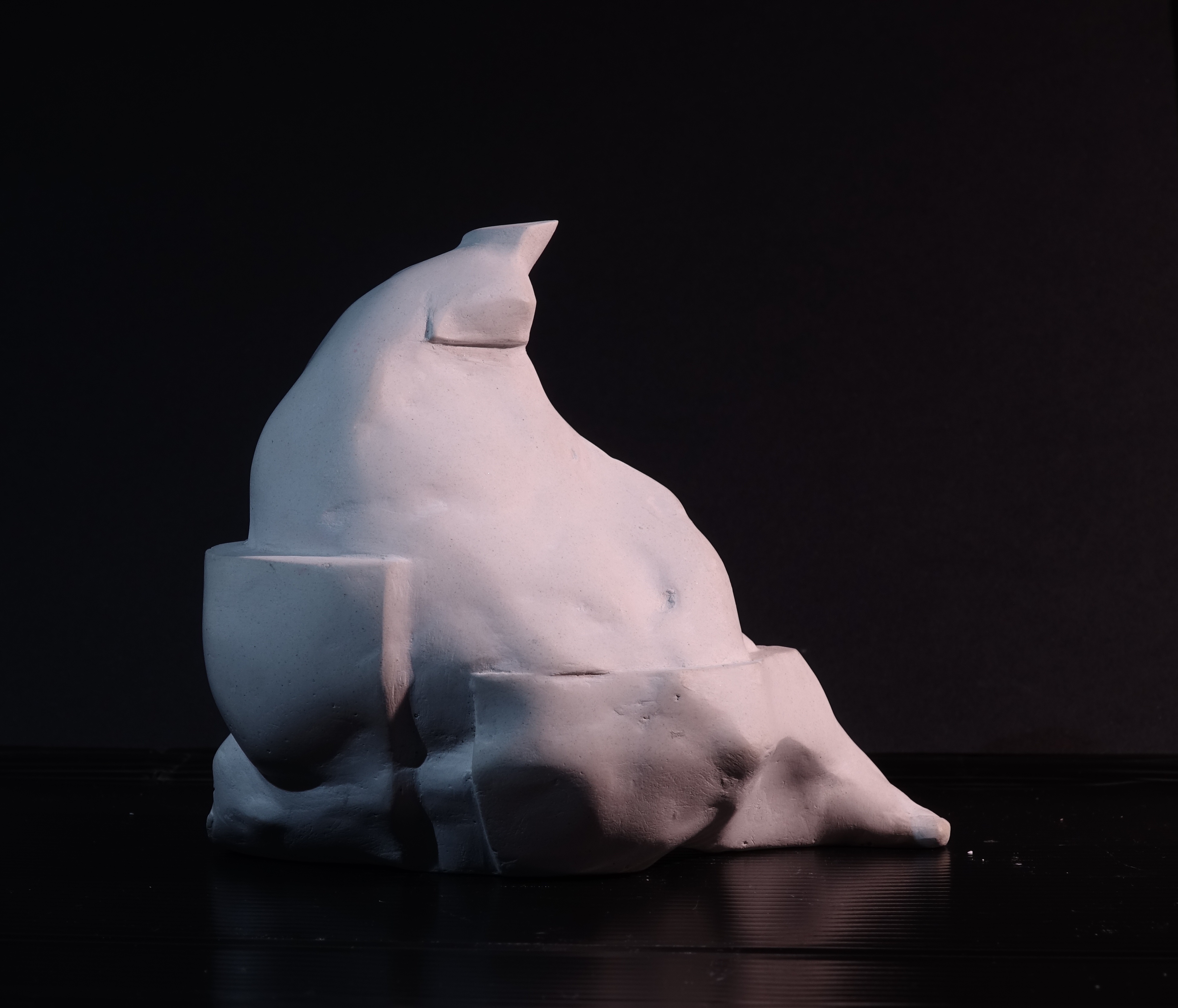 Portfolio item