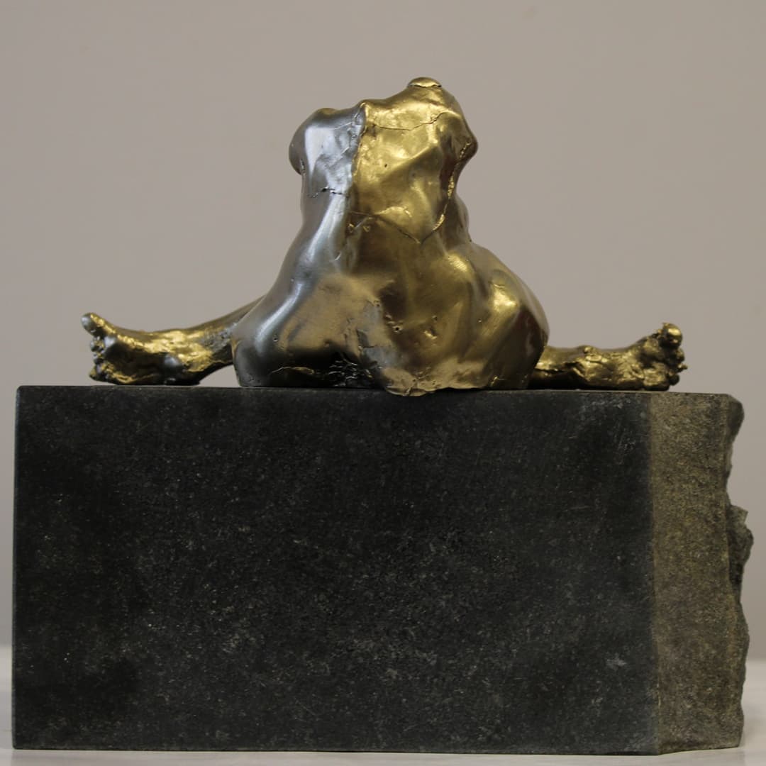 Portfolio item