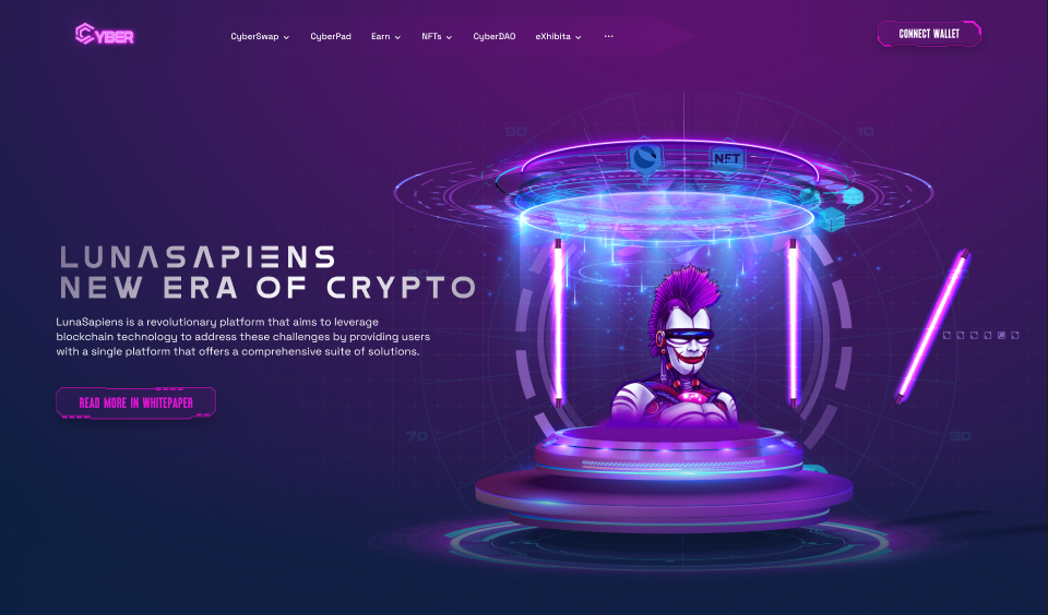 Portfolio item