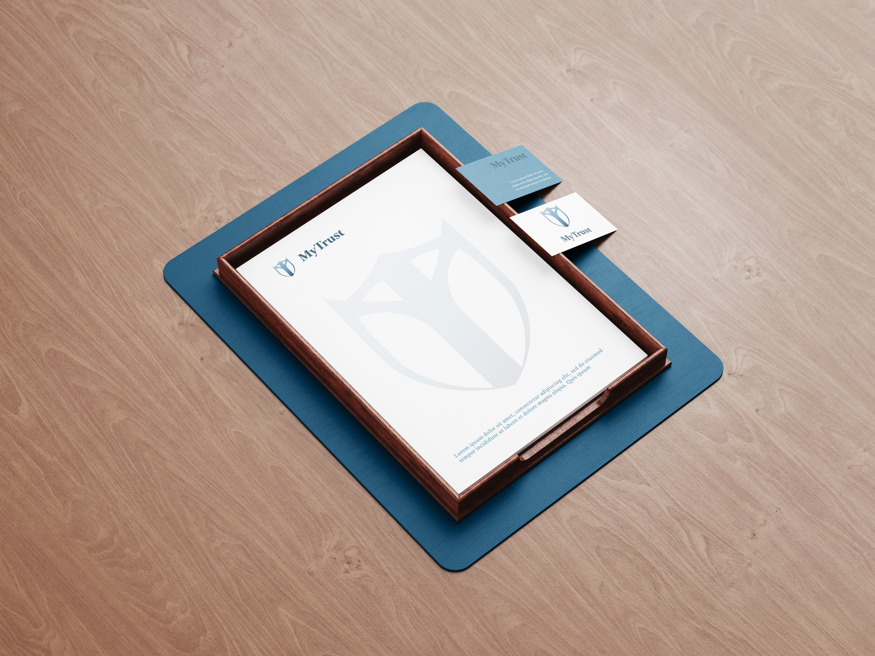 Portfolio item