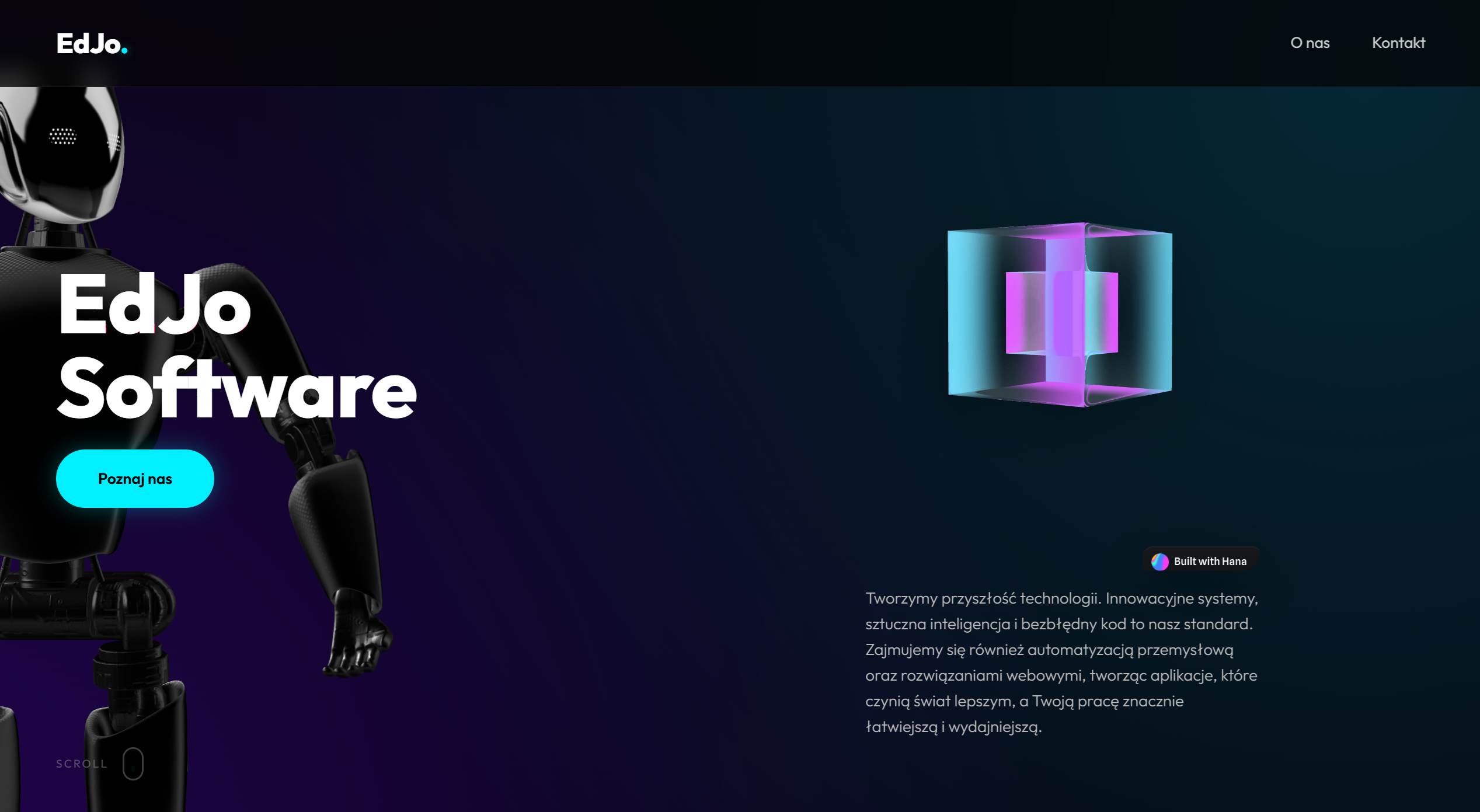 Portfolio item