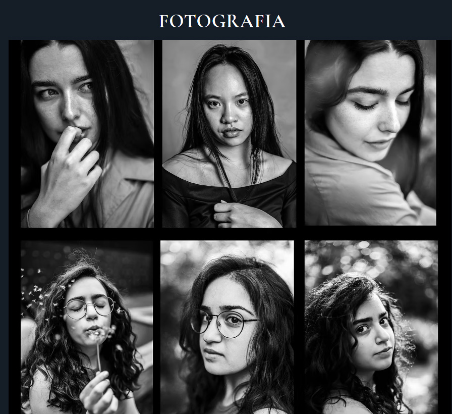Portfolio item