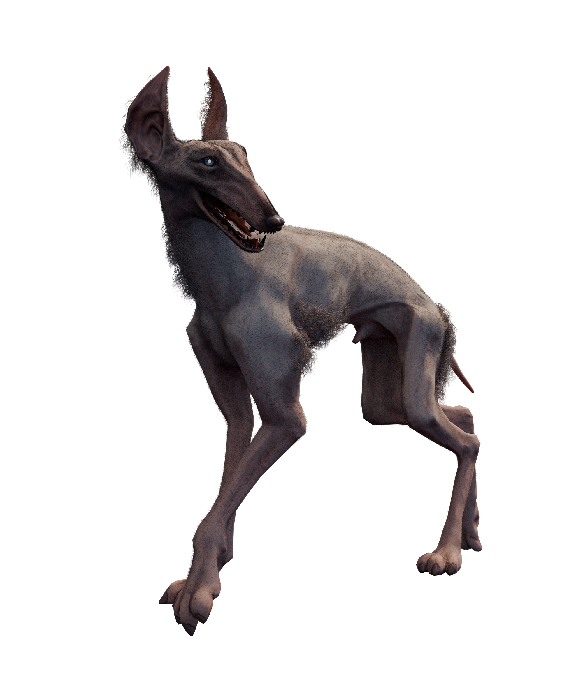 Portfolio item