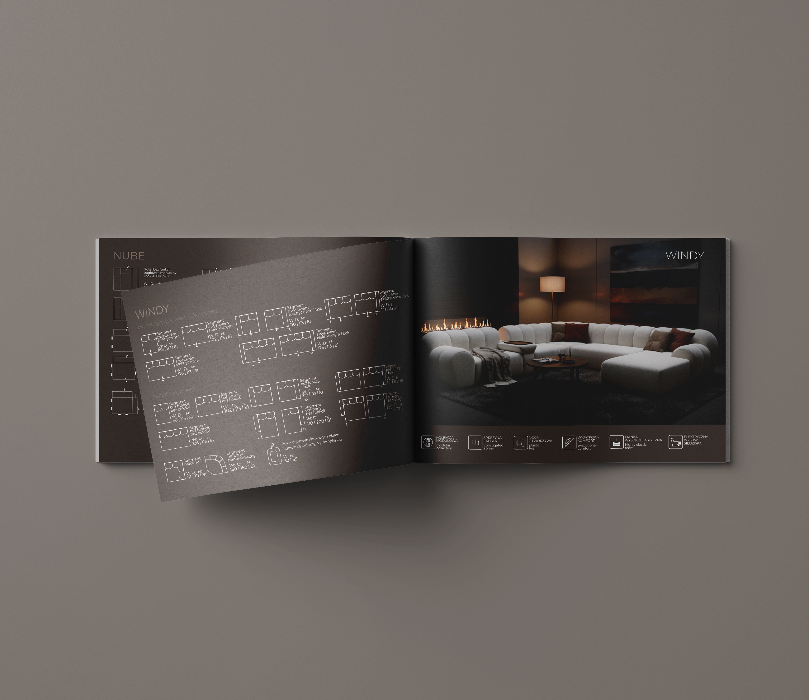 Portfolio item