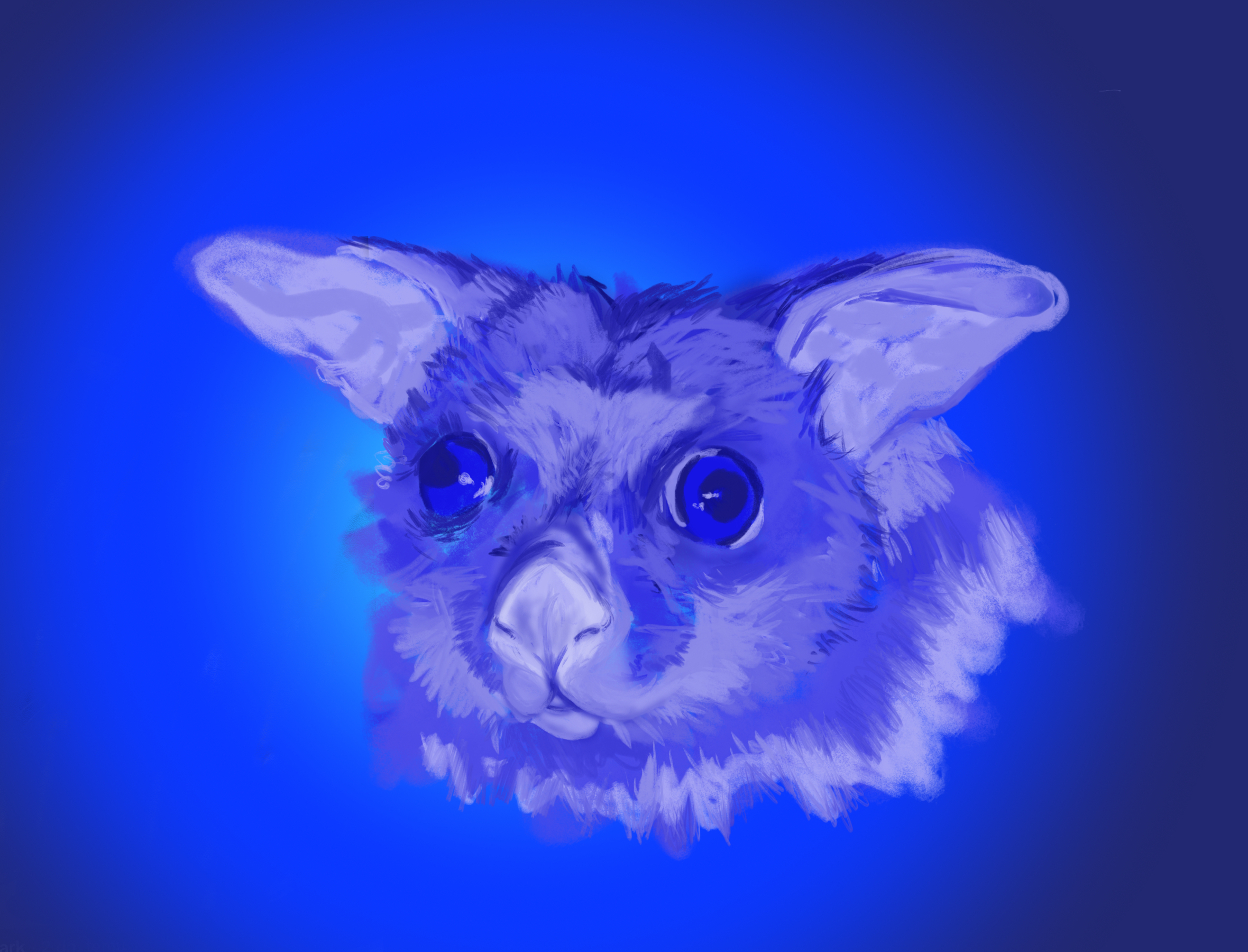 Portfolio item