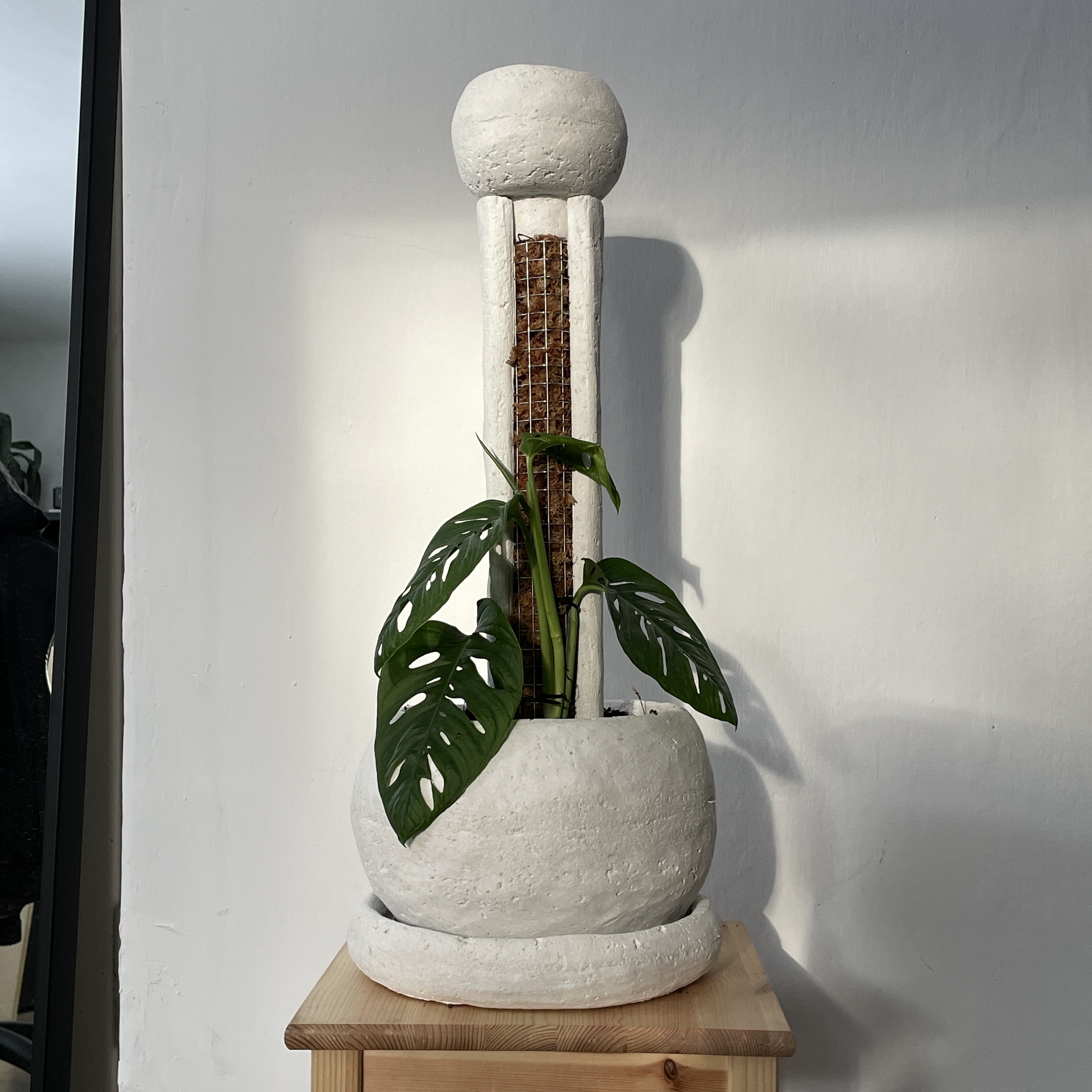 Portfolio item