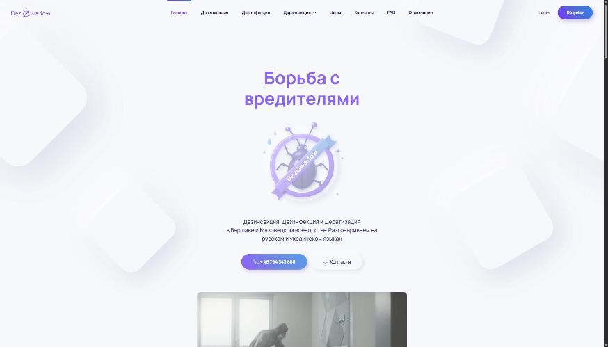 Portfolio item