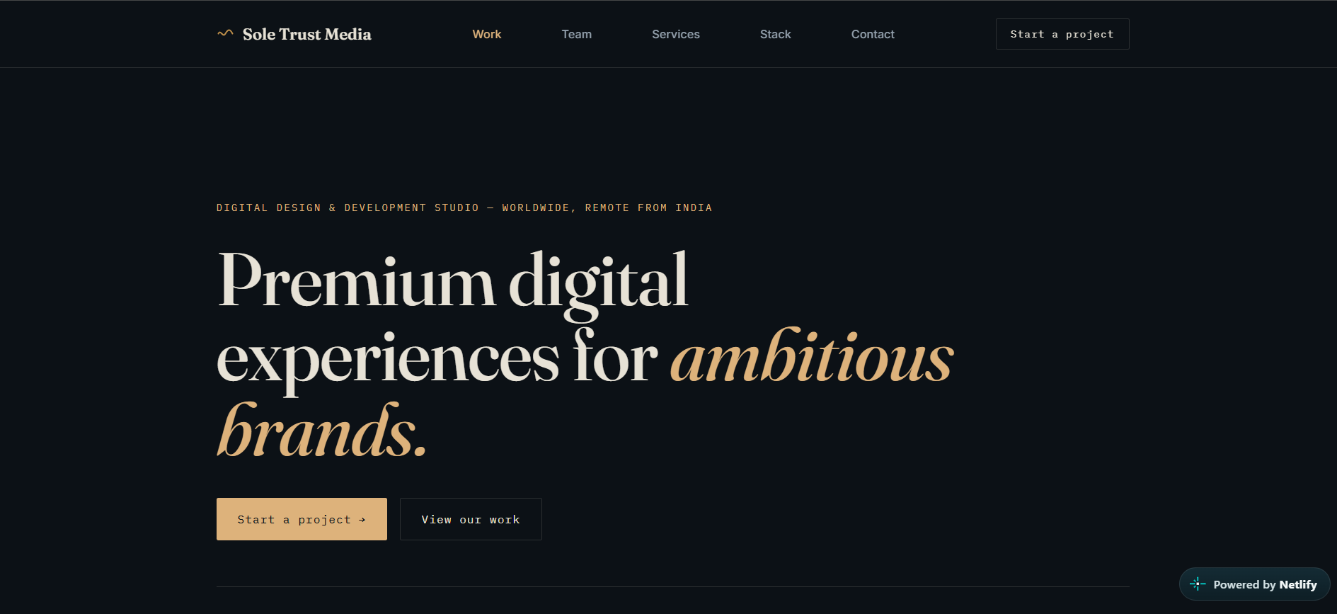 Portfolio item
