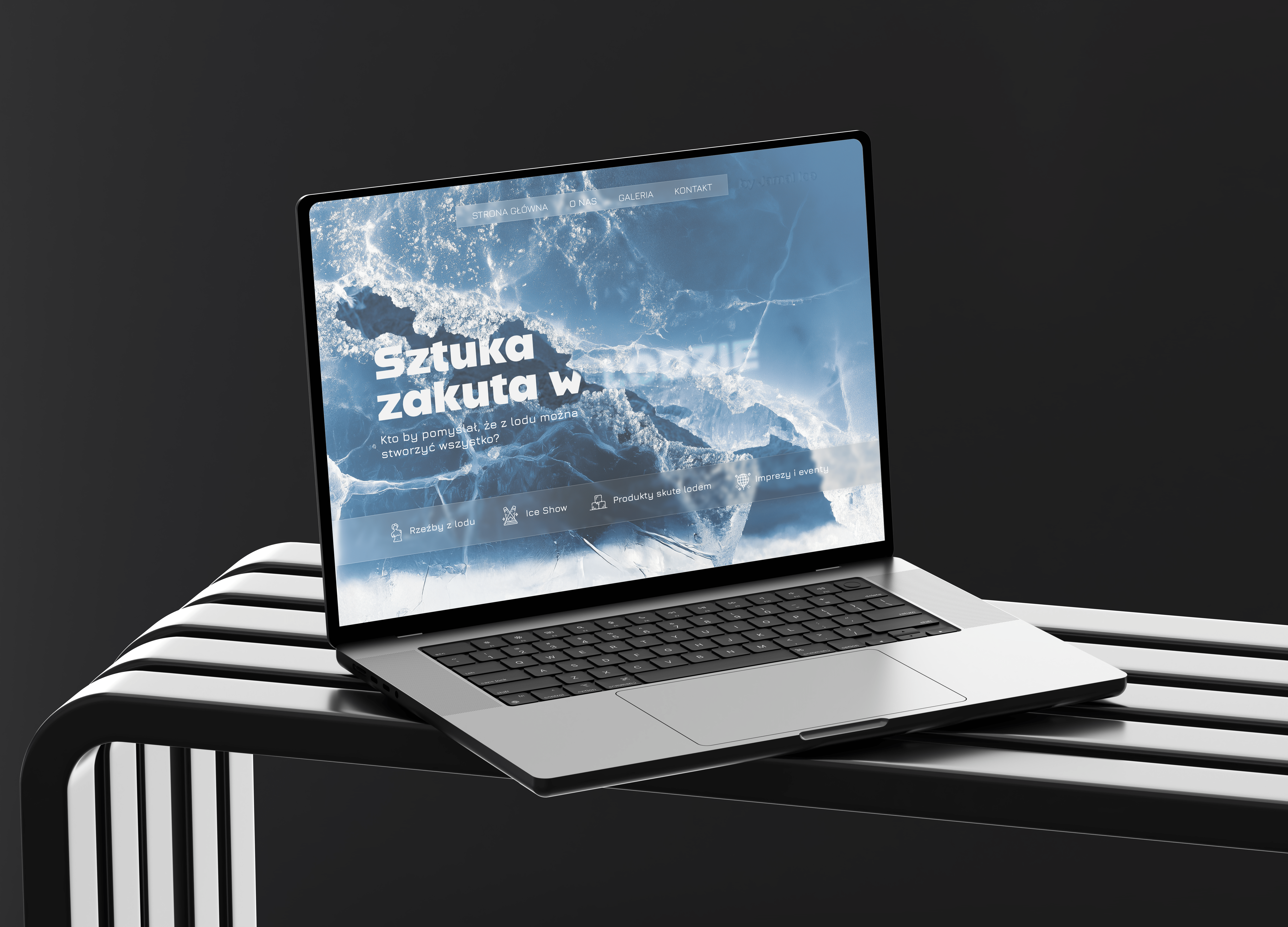 Portfolio item