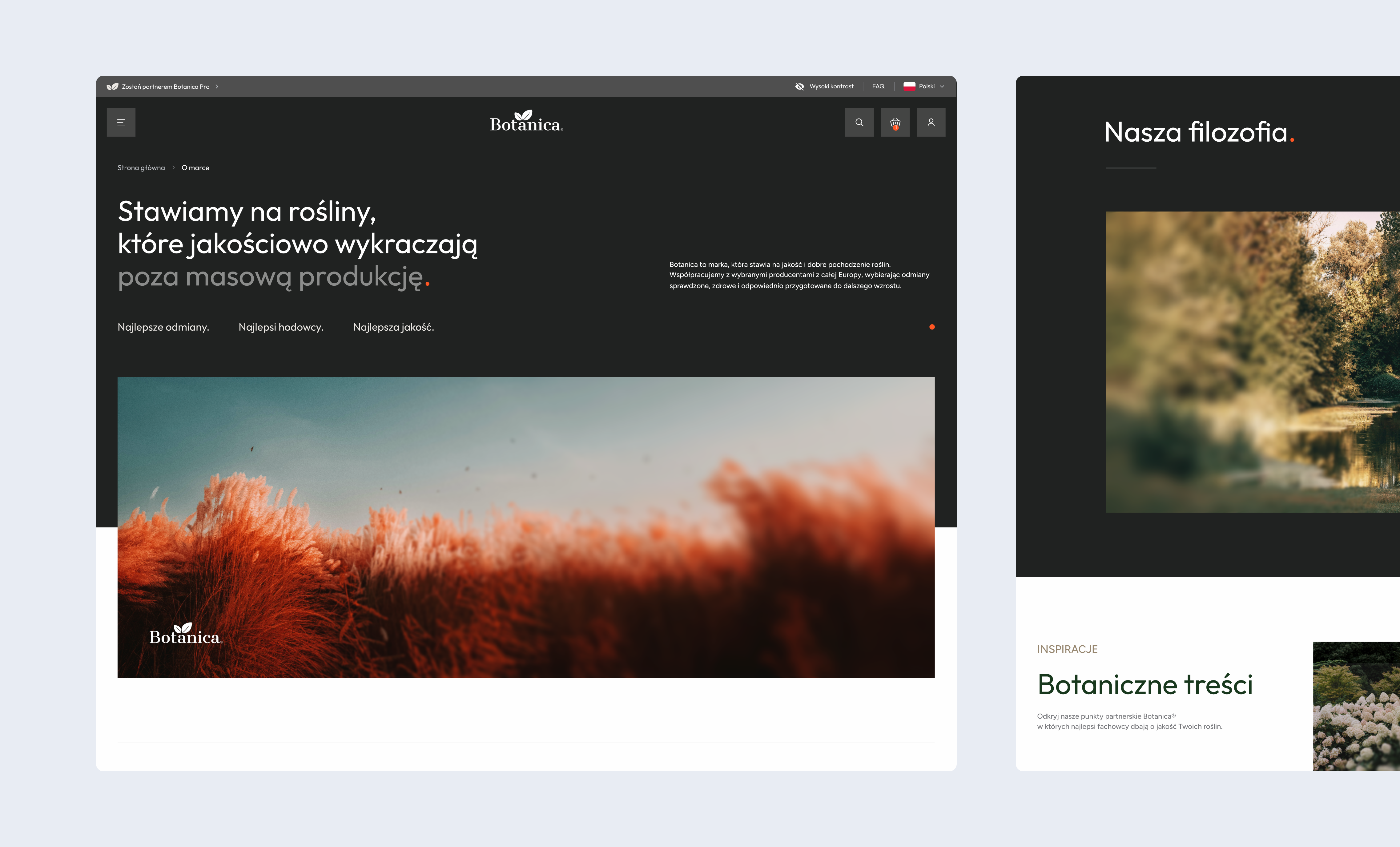 Portfolio item